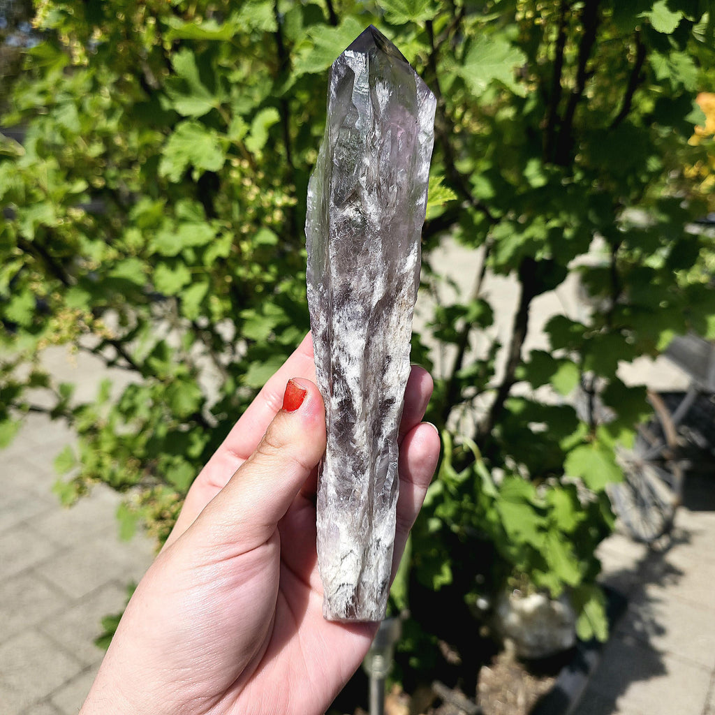 Bahia Amethyst Root Dragon Tooth | Raw Amethyst Point | Purple Quartz Crystal Specimen