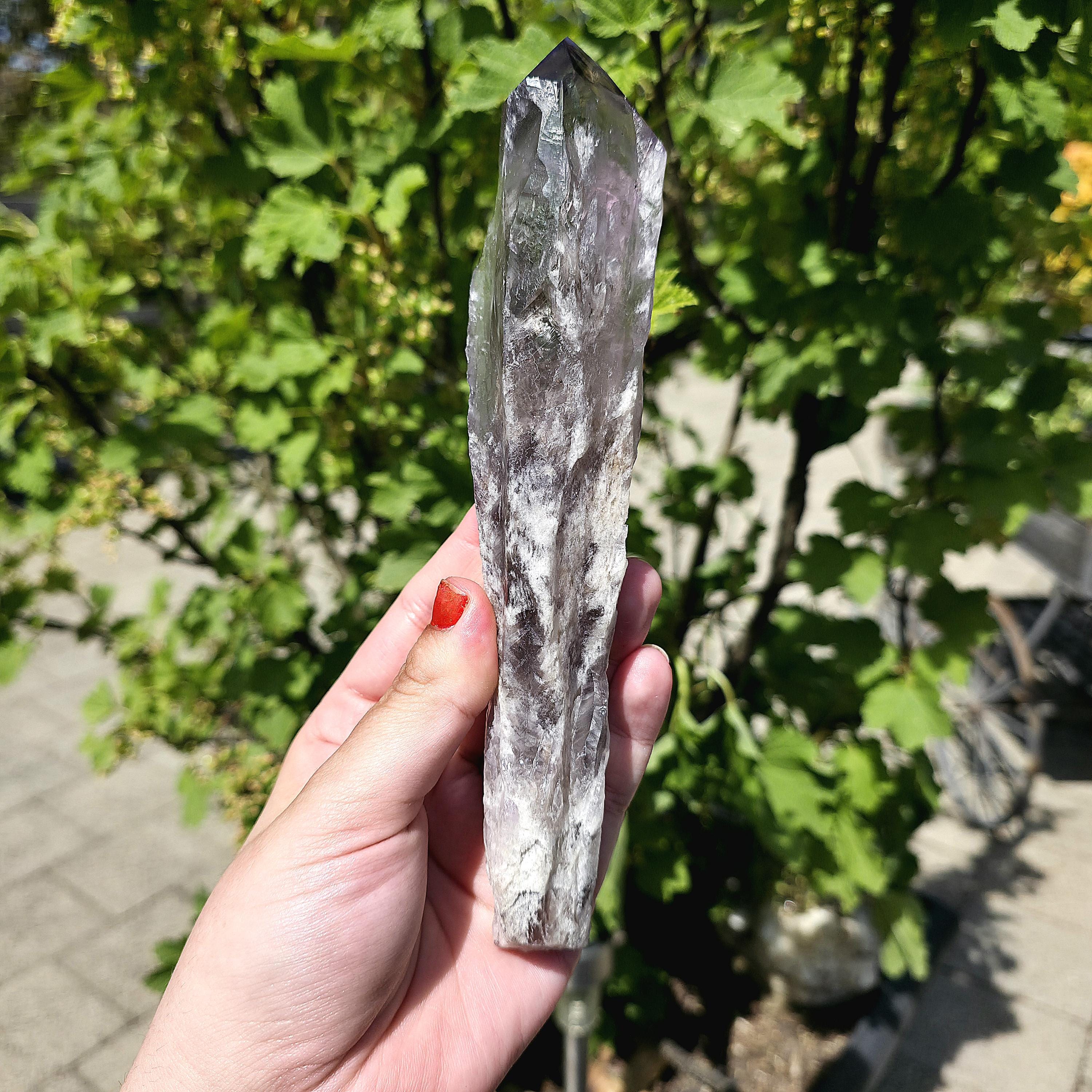 Bahia Amethyst Root Dragon Tooth | Raw Amethyst Point | Purple Quartz Crystal Specimen