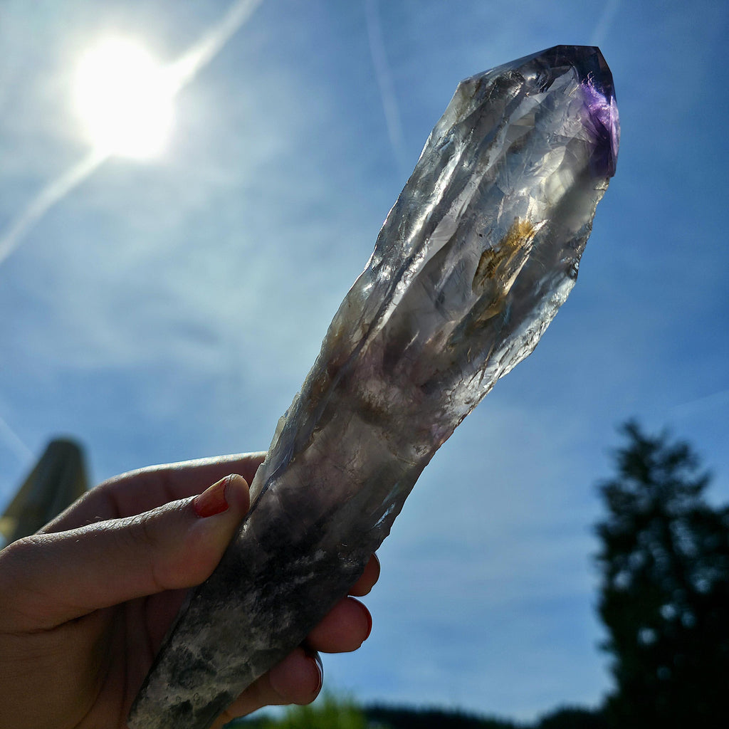 Bahia Amethyst Root Dragon Tooth | Raw Amethyst Point | Purple Quartz Crystal Specimen