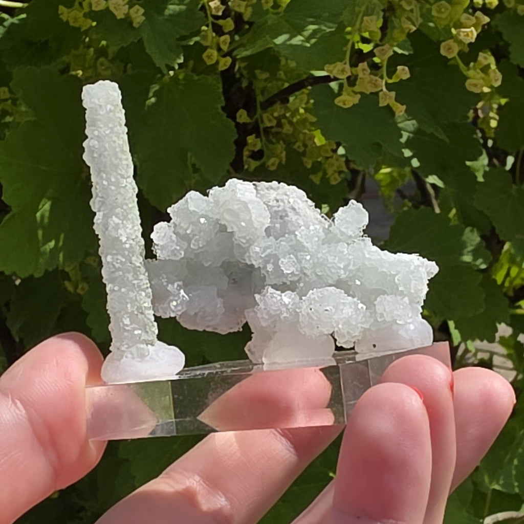 Stalactitic Apophyllite Cluster | Druzy Apophyllite Formation | Rare Columnar Apophyllite Specimen | Sparkling Mineral Decor