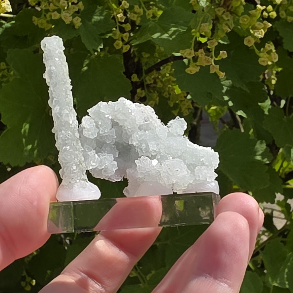 Stalactitic Apophyllite Cluster | Druzy Apophyllite Formation | Rare Columnar Apophyllite Specimen | Sparkling Mineral Decor
