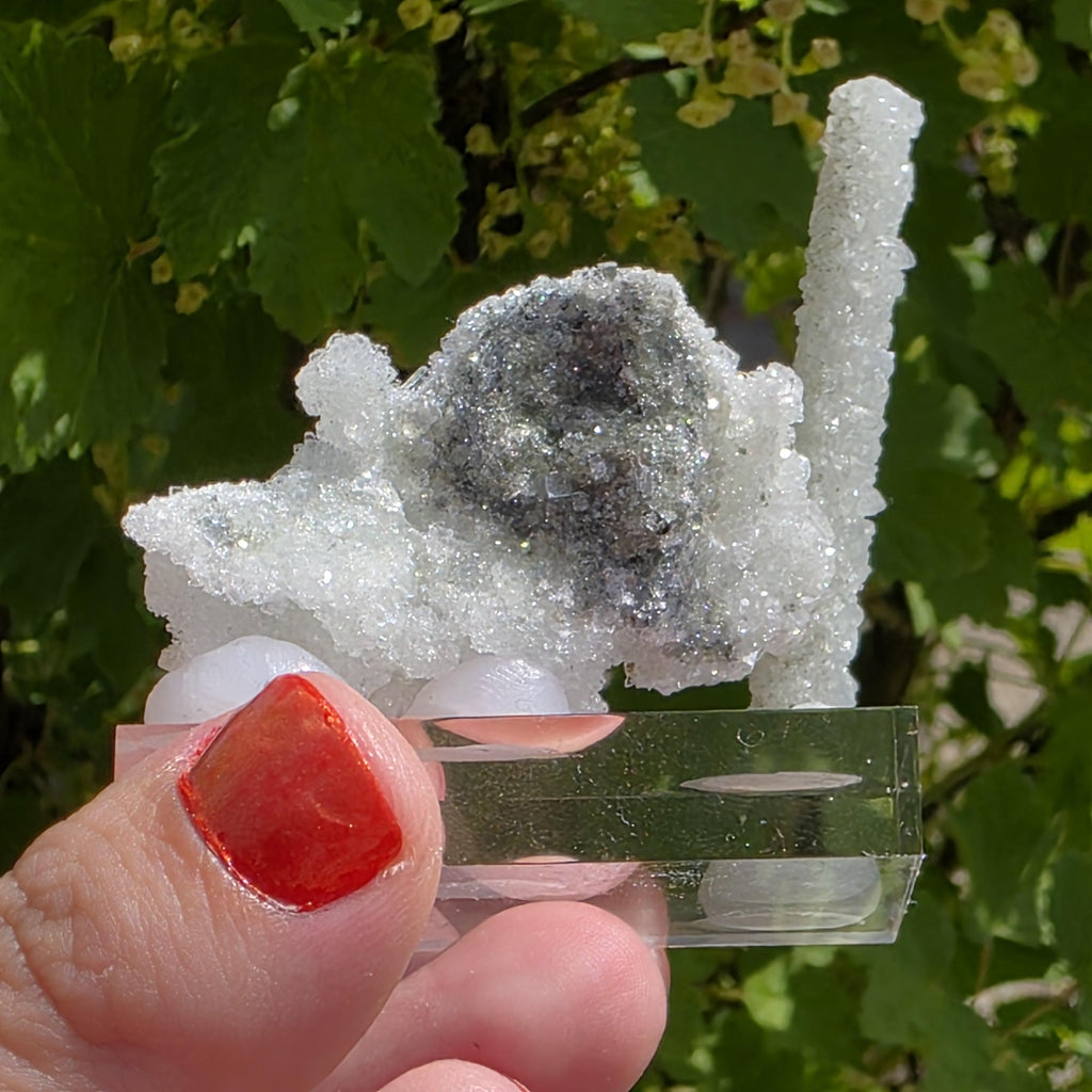 Stalactitic Apophyllite Cluster | Druzy Apophyllite Formation | Rare Columnar Apophyllite Specimen | Sparkling Mineral Decor
