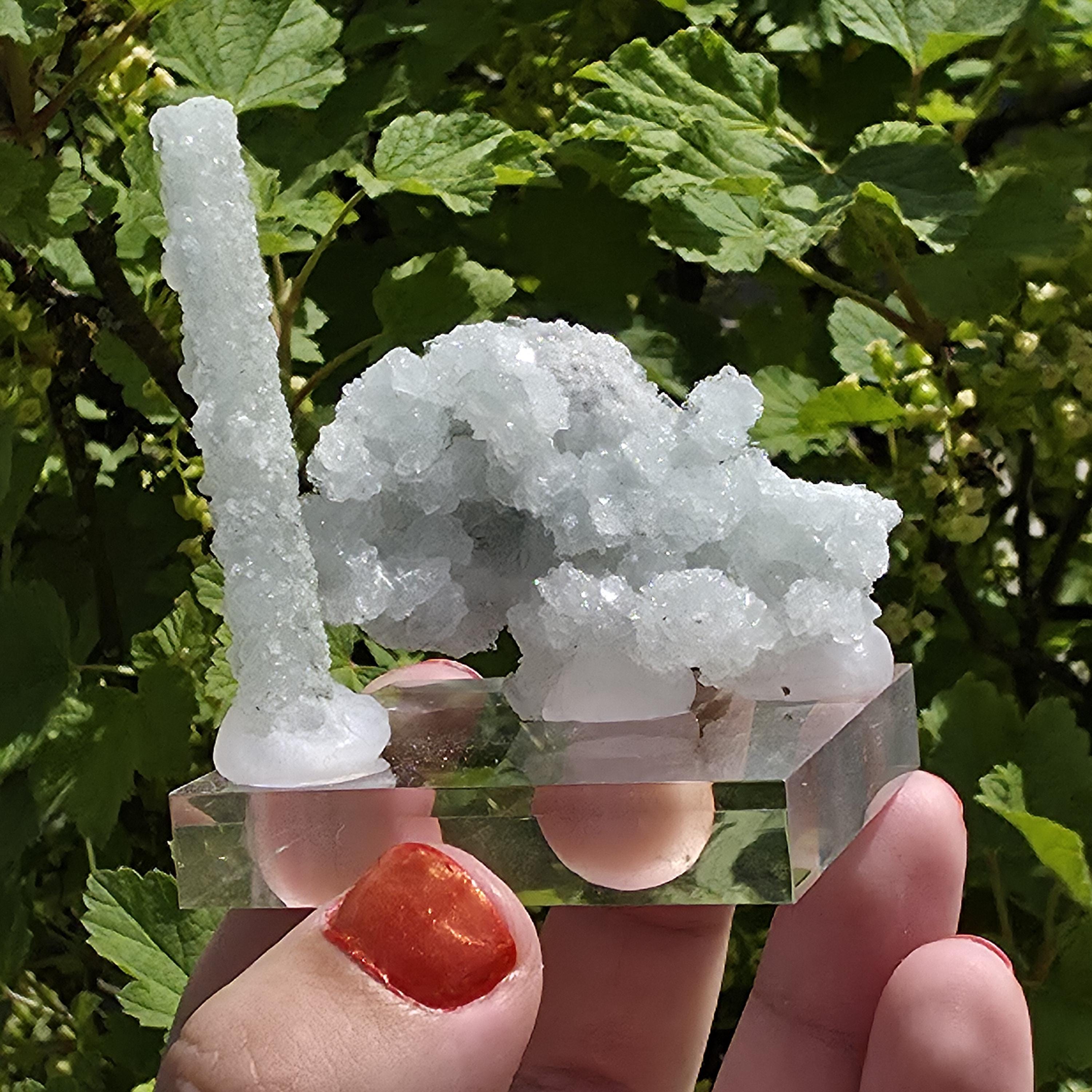 Stalactitic Apophyllite Cluster | Druzy Apophyllite Formation | Rare Columnar Apophyllite Specimen | Sparkling Mineral Decor