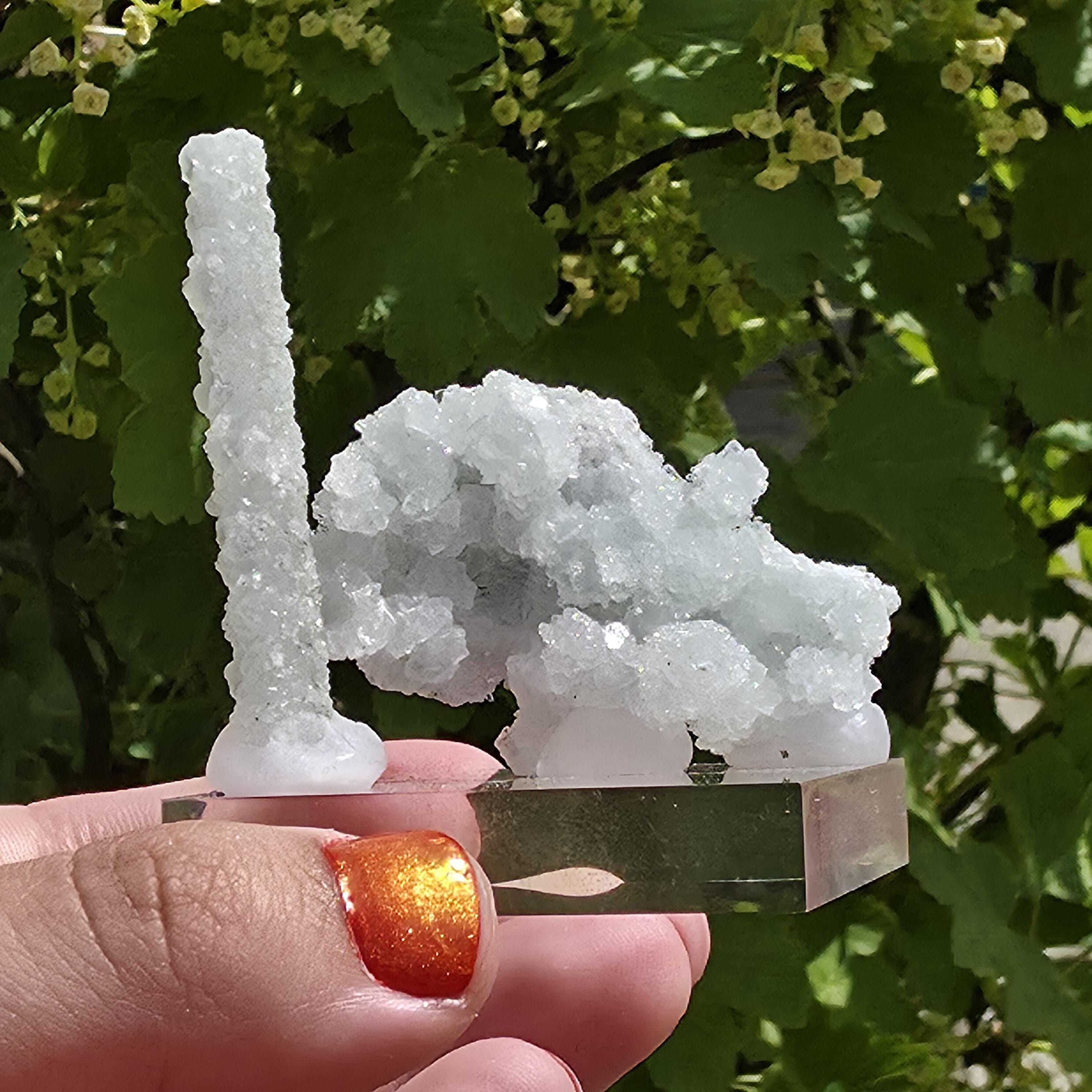 Stalactitic Apophyllite Cluster | Druzy Apophyllite Formation | Rare Columnar Apophyllite Specimen | Sparkling Mineral Decor