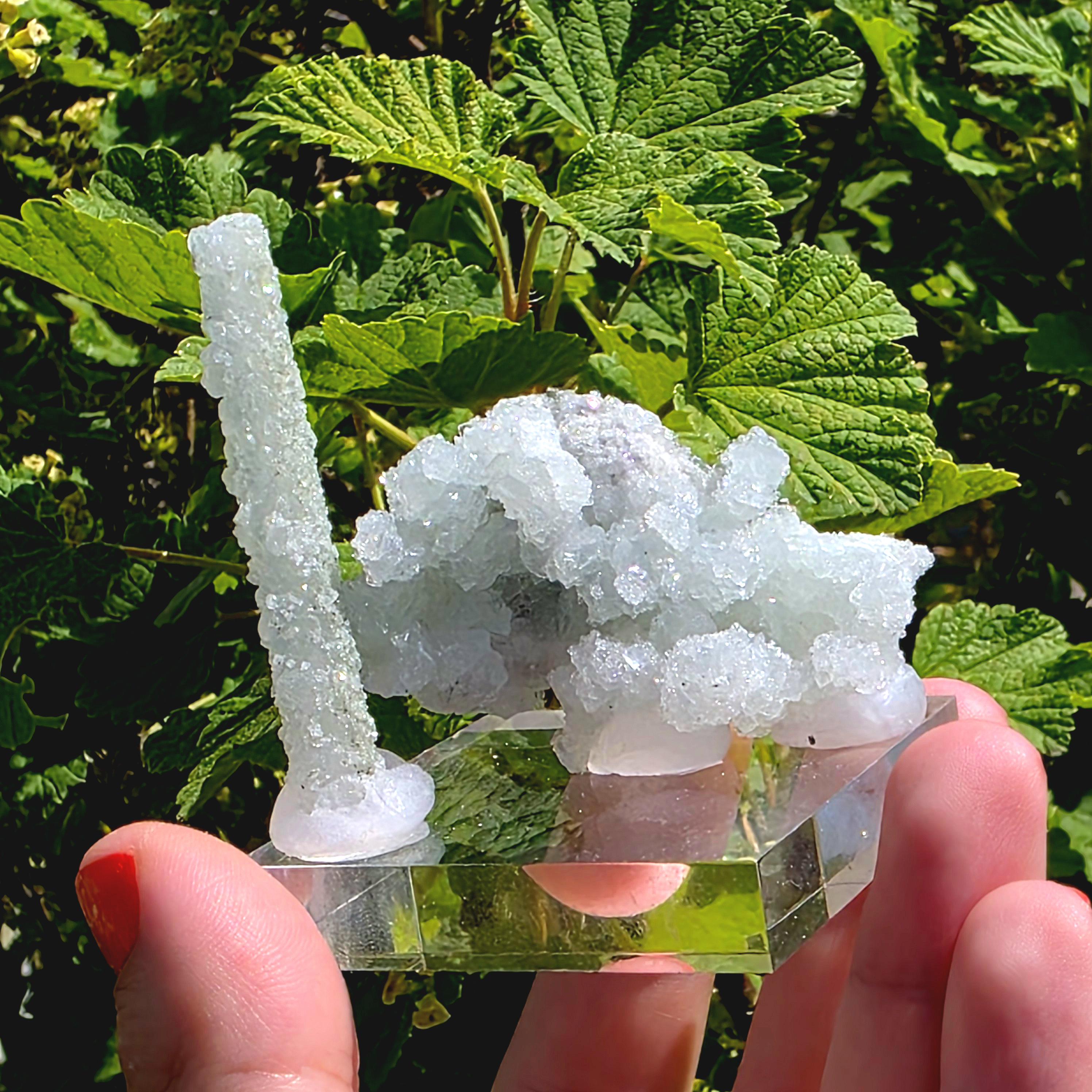 Stalactitic Apophyllite Cluster | Druzy Apophyllite Formation | Rare Columnar Apophyllite Specimen | Sparkling Mineral Decor