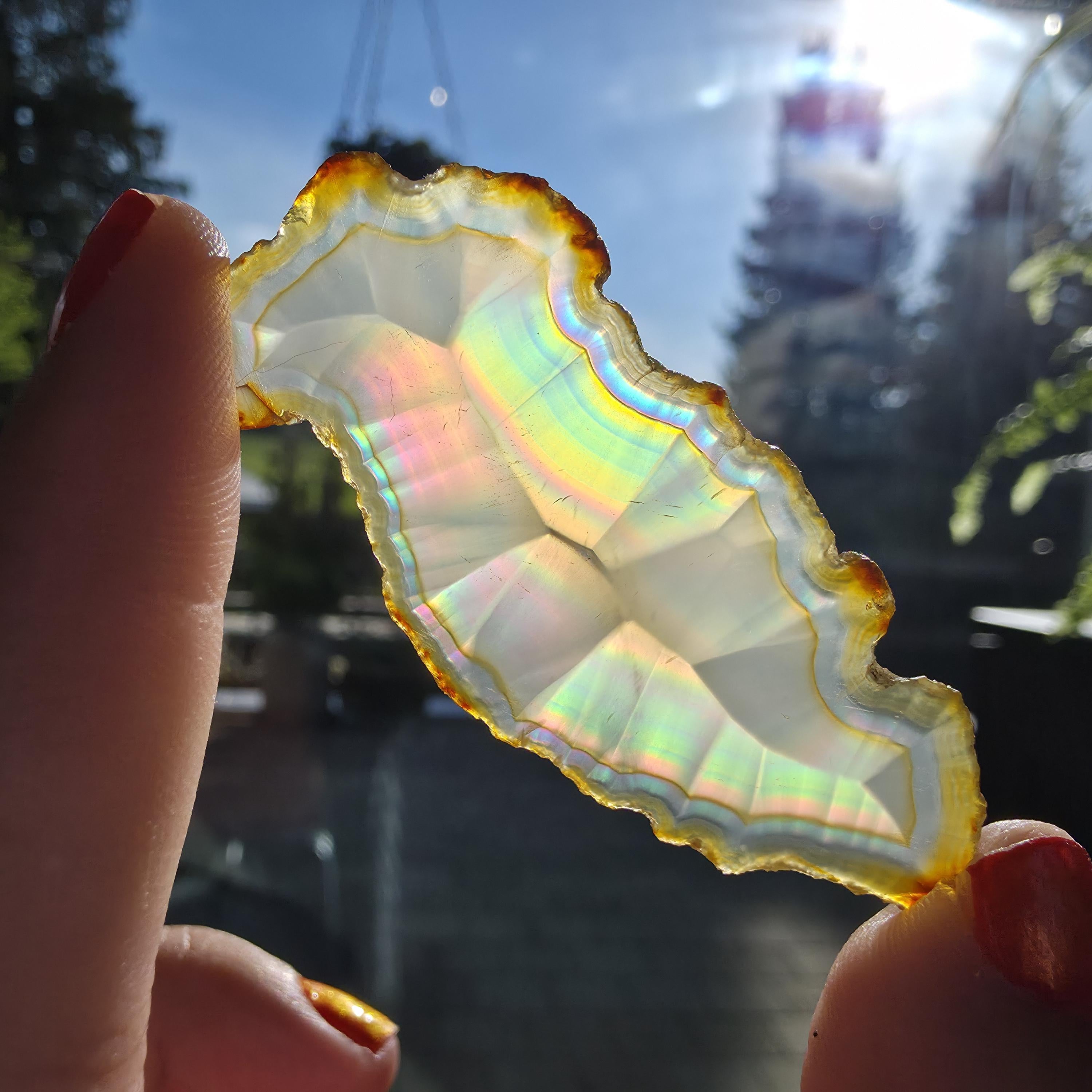 Natural Iris Agate Slice | Rainbow Agate Slice | Flashy Banded Agate | Collector Crystal | Small Agate Specimen