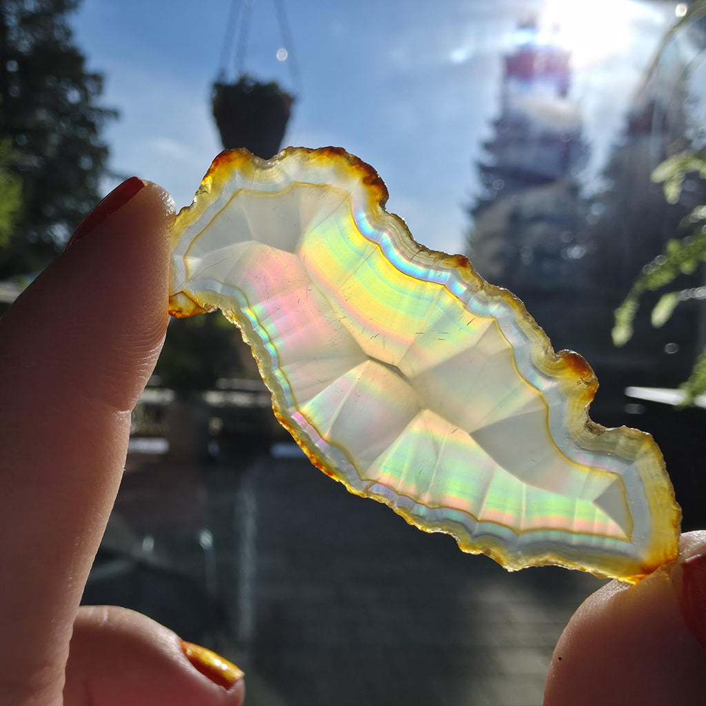 Natural Iris Agate Slice | Rainbow Agate Slice | Flashy Banded Agate | Collector Crystal | Small Agate Specimen