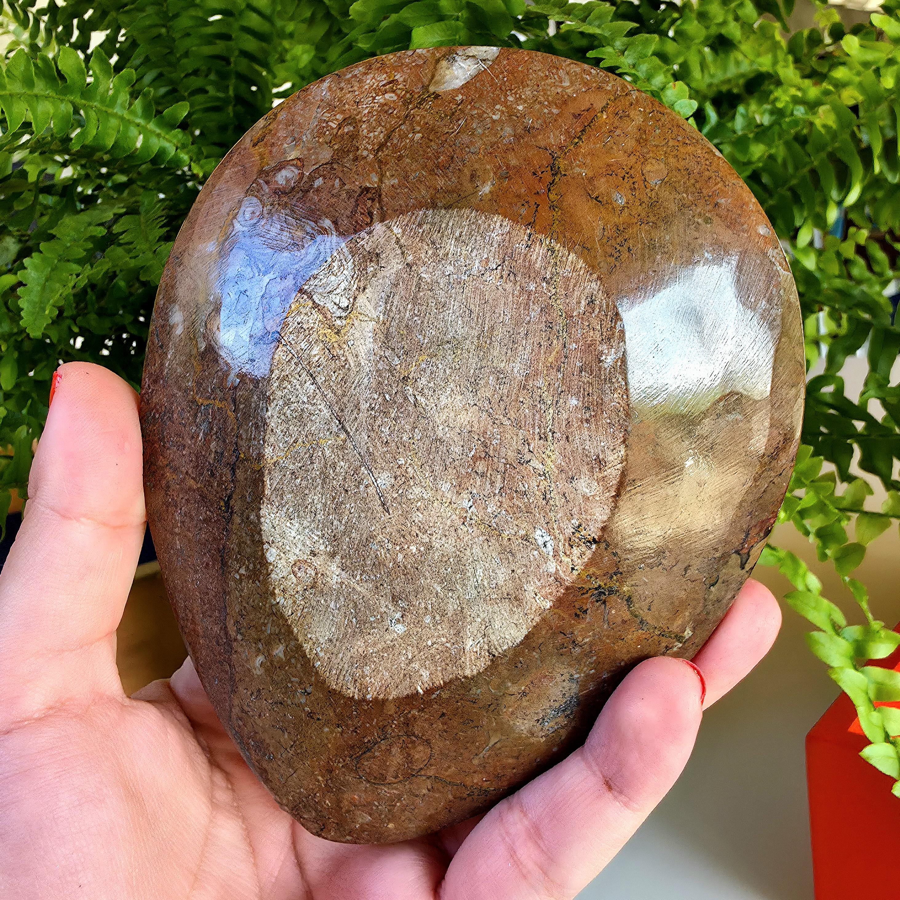 Natural Orthoceras Fossil Ring Dish | Fossil Decor Bowl | Carved Orthoceras Tray | Crystal Jewelry Dish | Fossil Home Decor