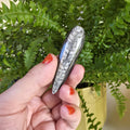 Orthoceras Fossil Point | Polished Black Fossil Stone | Ancient Marine Fossil | 6.5 cm Collector Specimen