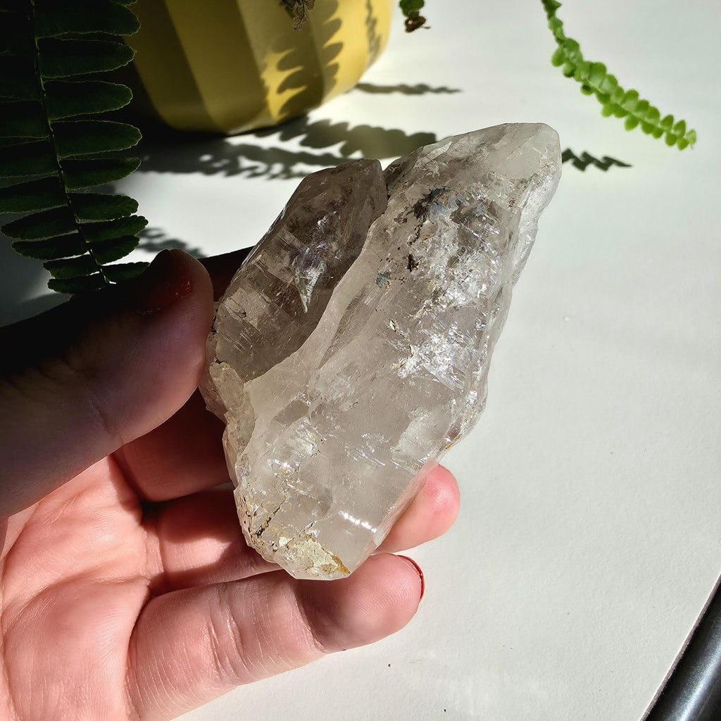 Alpine Quartz Crystal Point | Swiss Alps Clear Quartz with Matrix | Natural Collector Mineral Specimen