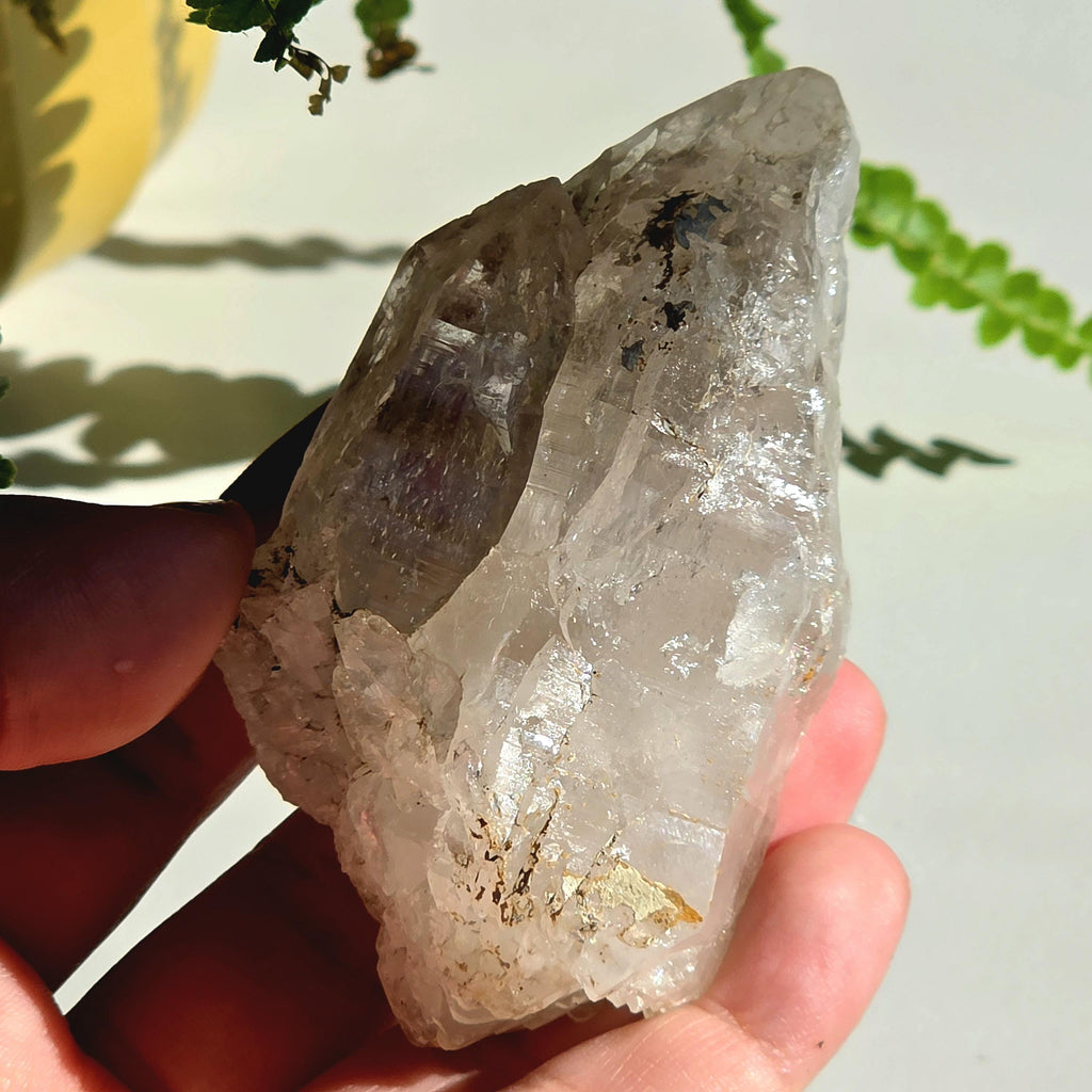 Alpine Quartz Crystal Point | Swiss Alps Clear Quartz with Matrix | Natural Collector Mineral Specimen