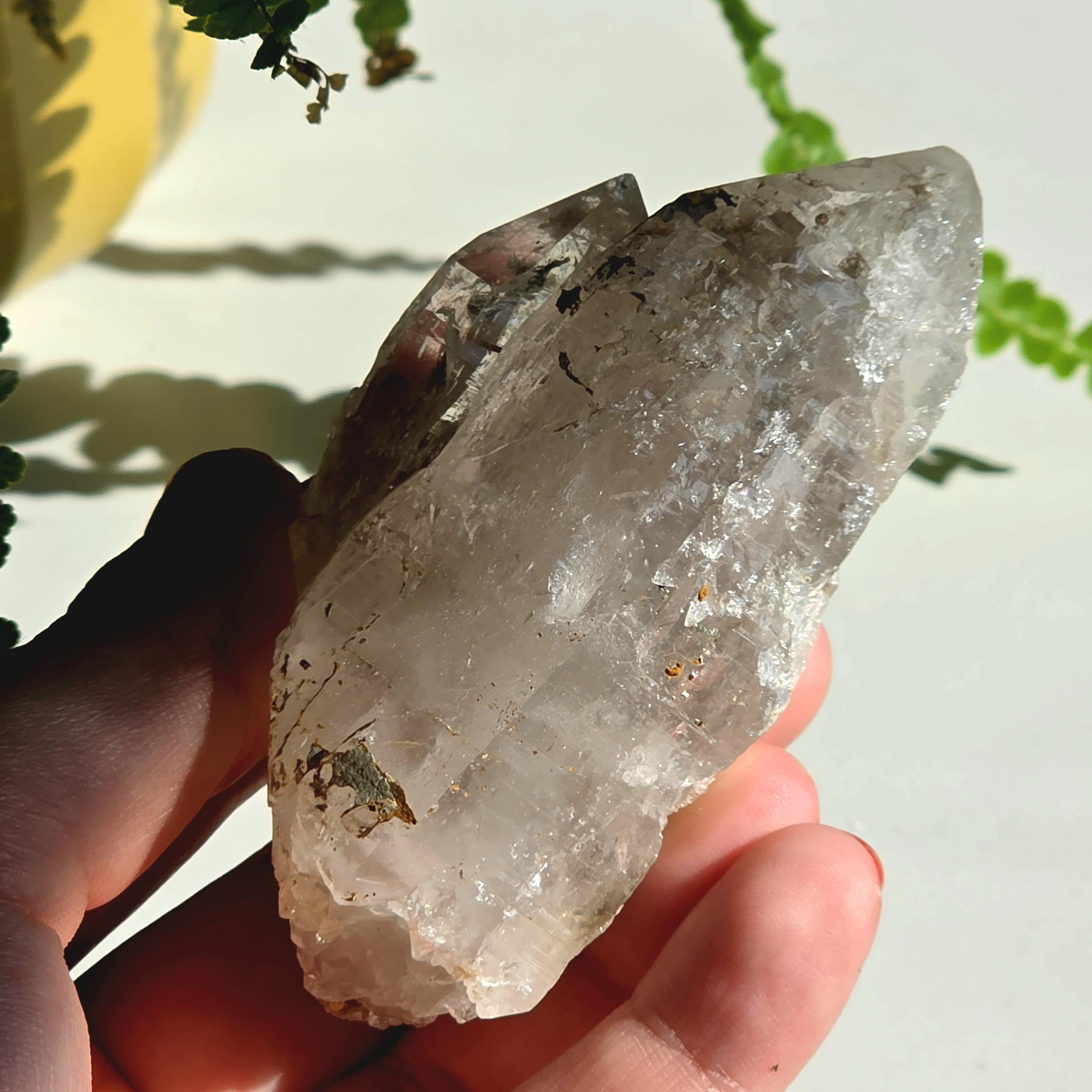 Alpine Quartz Crystal Point | Swiss Alps Clear Quartz with Matrix | Natural Collector Mineral Specimen