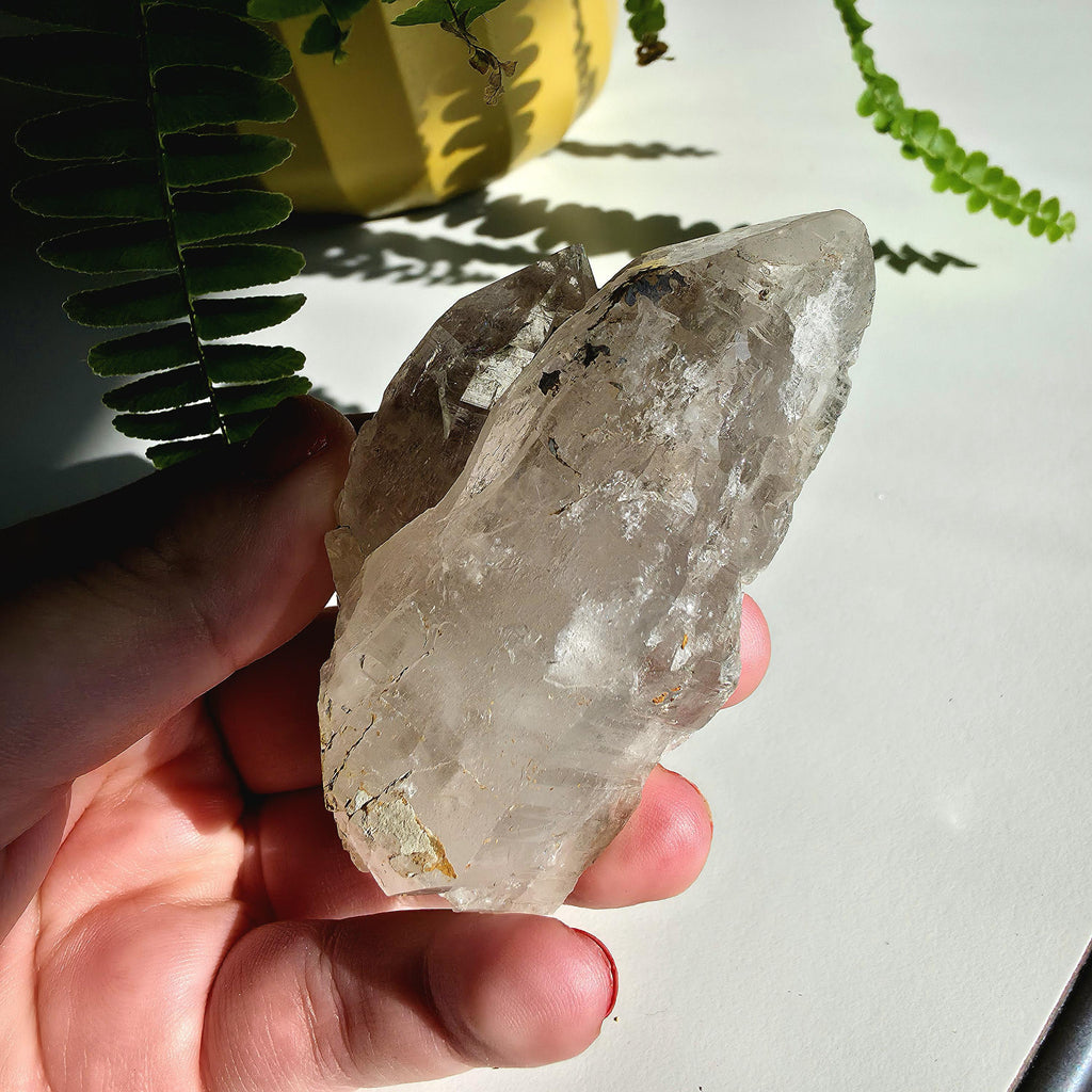 Alpine Quartz Crystal Point | Swiss Alps Clear Quartz with Matrix | Natural Collector Mineral Specimen