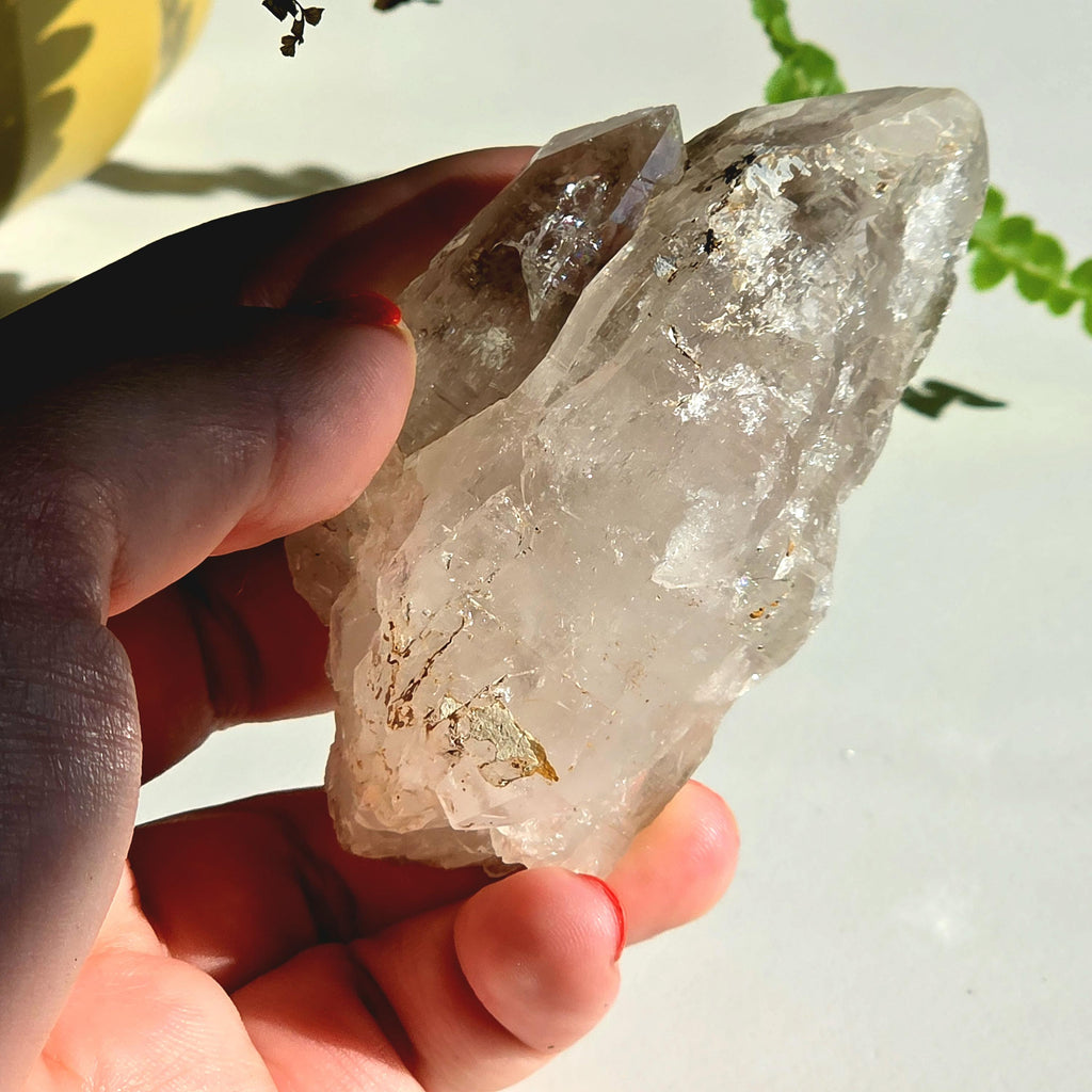 Alpine Quartz Crystal Point | Swiss Alps Clear Quartz with Matrix | Natural Collector Mineral Specimen