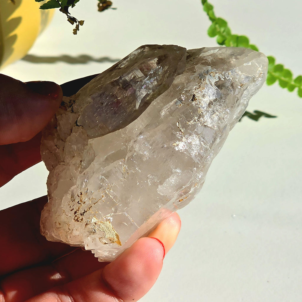 Alpine Quartz Crystal Point | Swiss Alps Clear Quartz with Matrix | Natural Collector Mineral Specimen