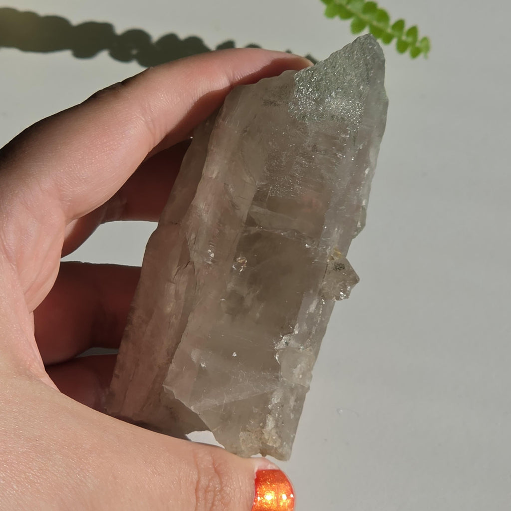 Alpine Quartz Crystal Point | Swiss Alps Clear Quartz with Matrix | Natural Collector Mineral Specimen