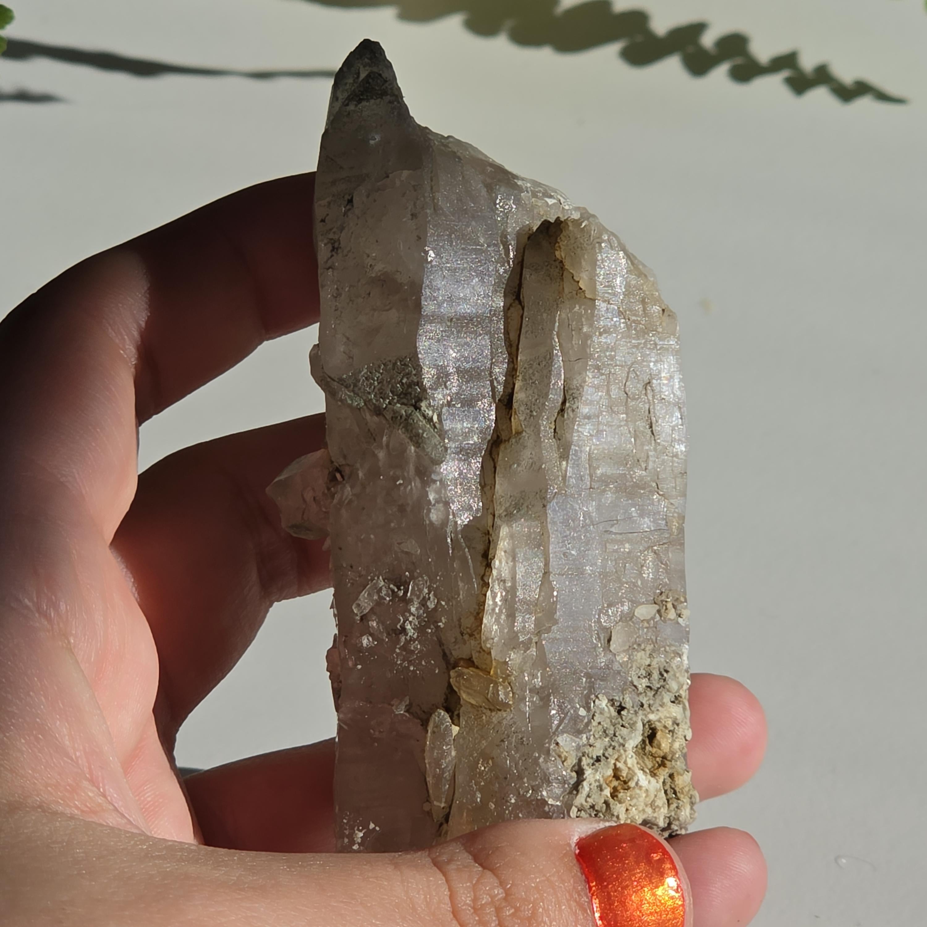 Alpine Quartz Crystal Point | Swiss Alps Clear Quartz with Matrix | Natural Collector Mineral Specimen