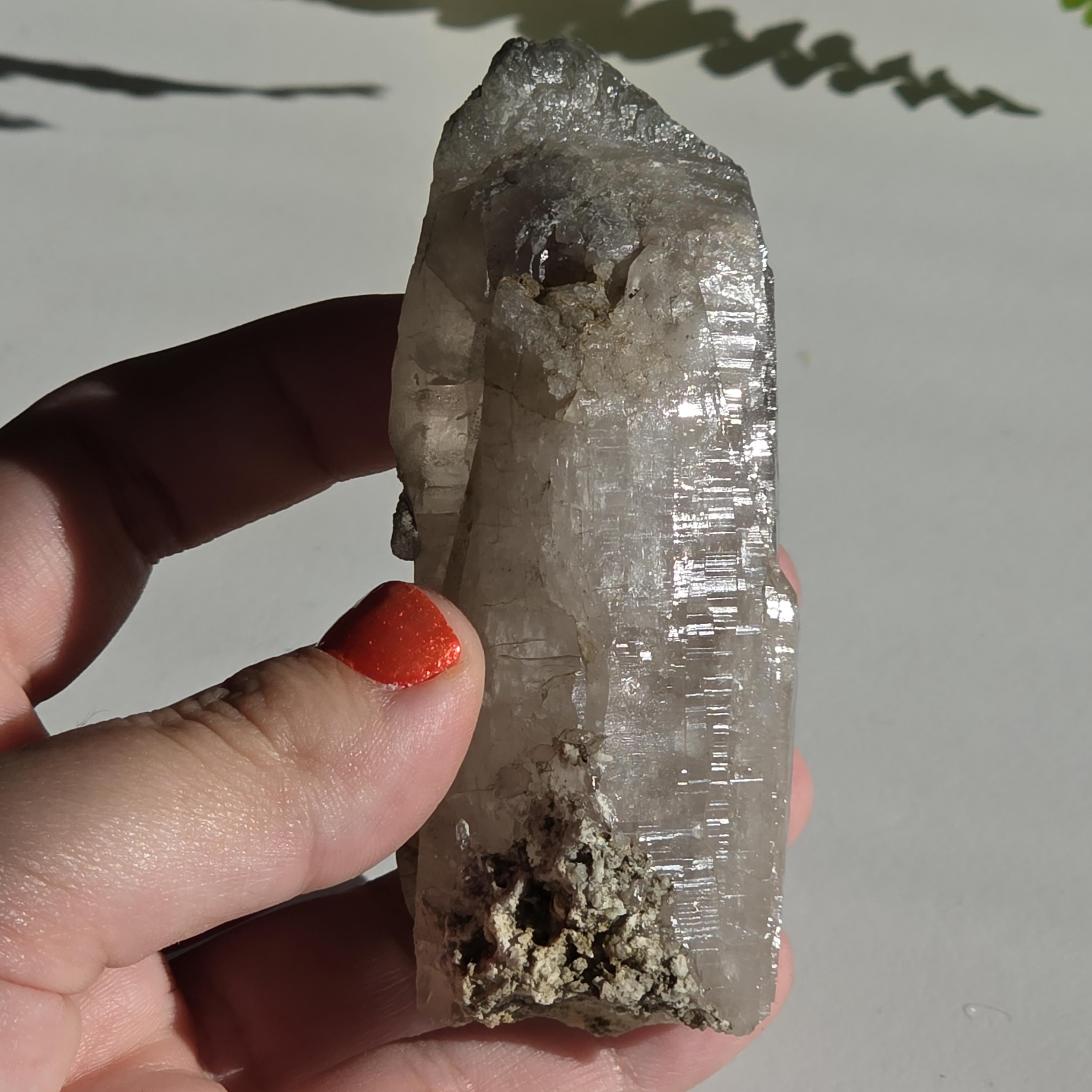 Alpine Quartz Crystal Point | Swiss Alps Clear Quartz with Matrix | Natural Collector Mineral Specimen