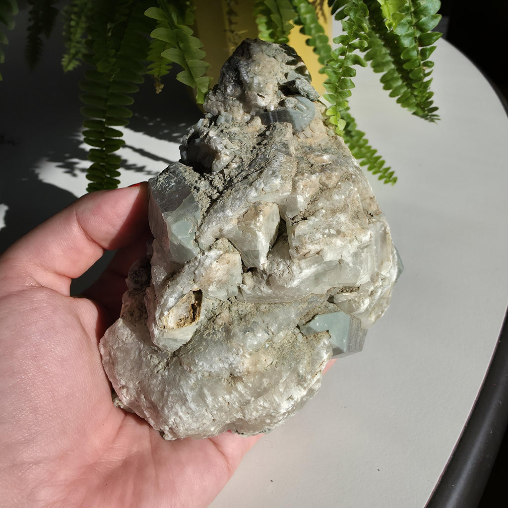Swiss Alpine Chlorite Quartz Cluster | Green Chlorite Included Quartz | Large Alpine Quartz Specimen | Swiss Alps