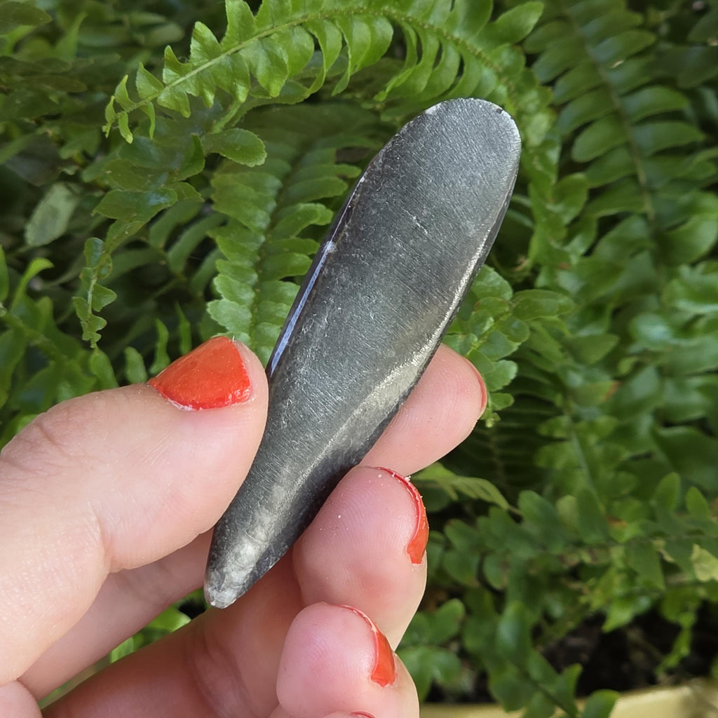 Orthoceras Fossil Point | Polished Black Fossil Stone | Ancient Marine Fossil | 6.5 cm Collector Specimen