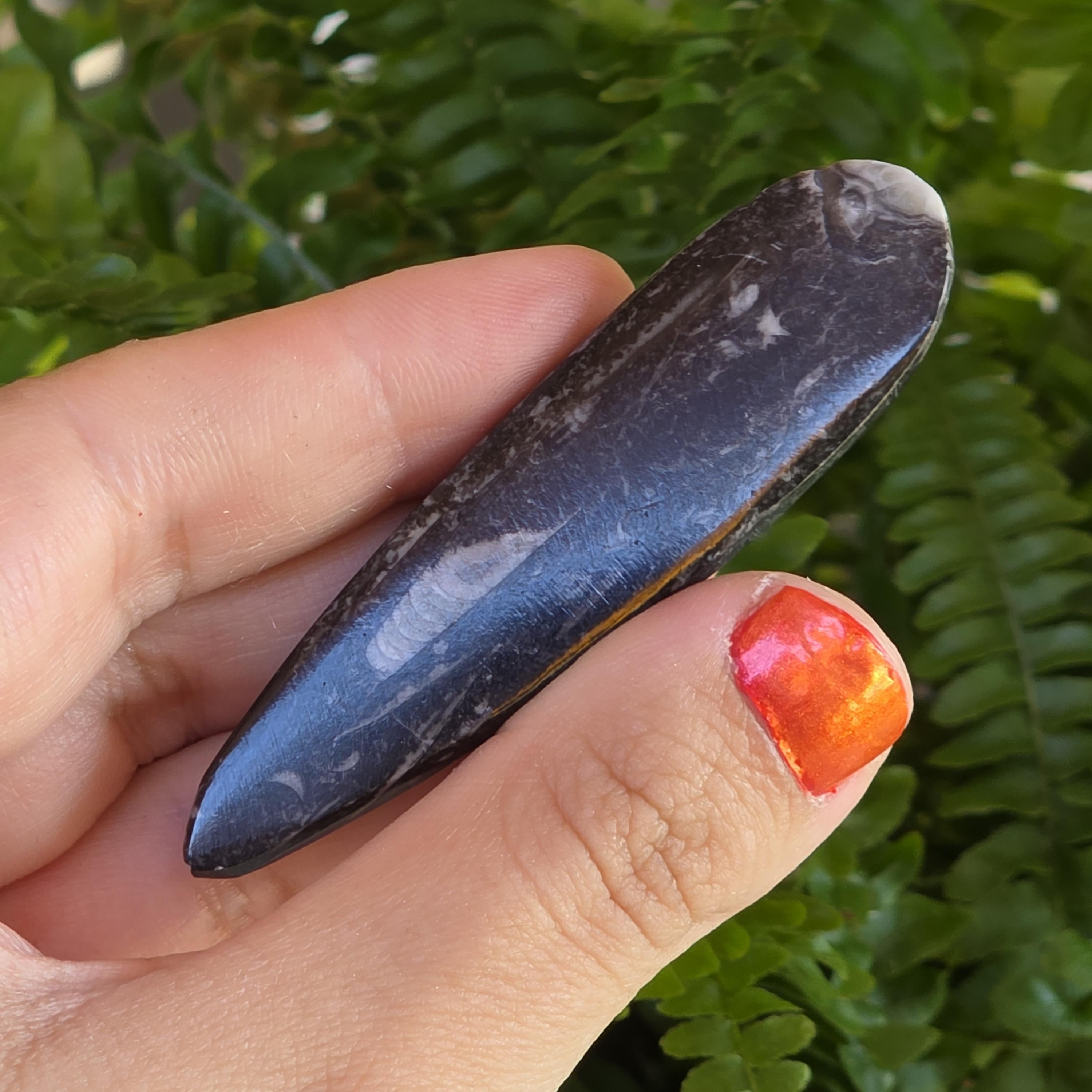 Orthoceras Fossil Point | Polished Black Fossil Stone | Ancient Marine Fossil | 6.5 cm Collector Specimen