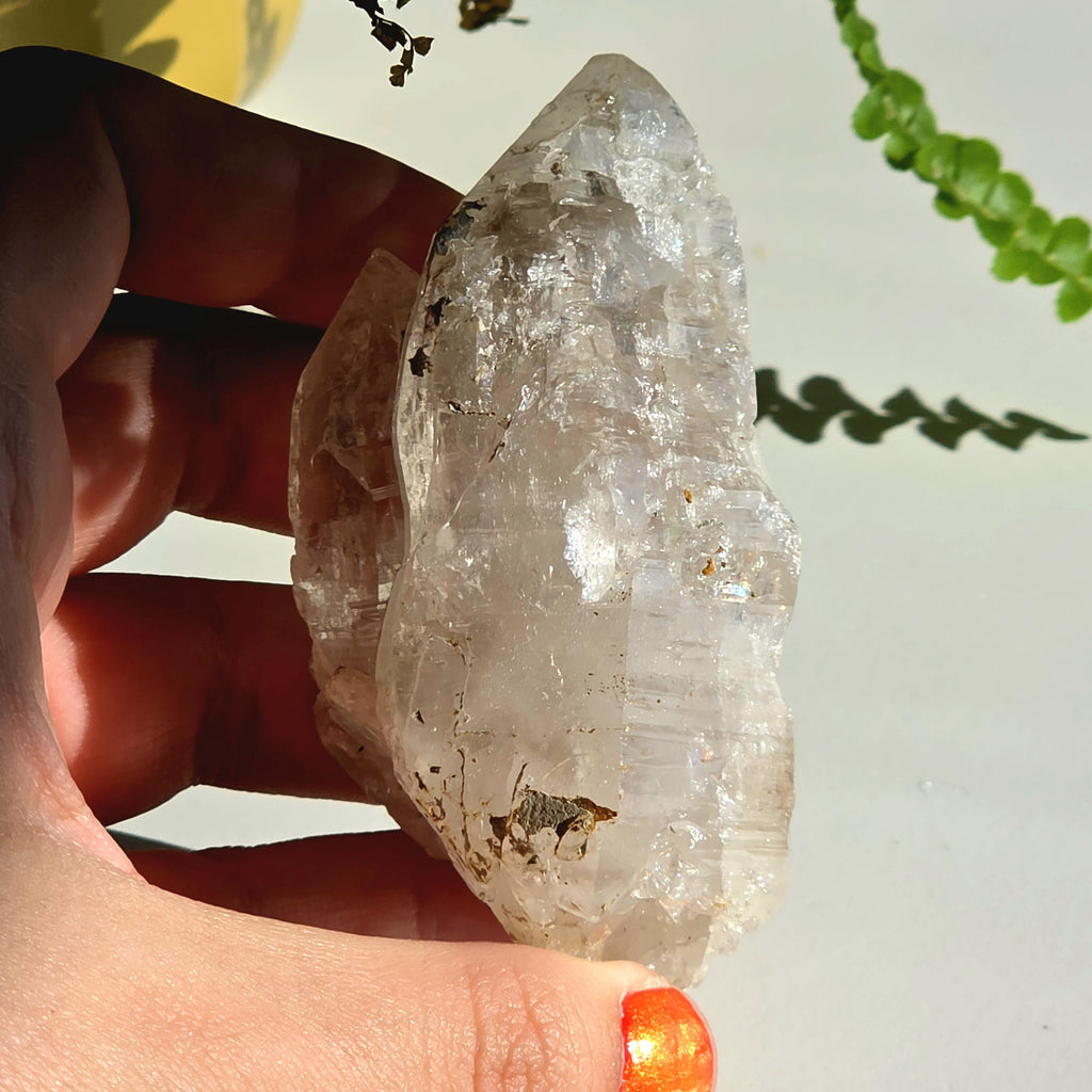 Alpine Quartz Crystal Point | Swiss Alps Clear Quartz with Matrix | Natural Collector Mineral Specimen