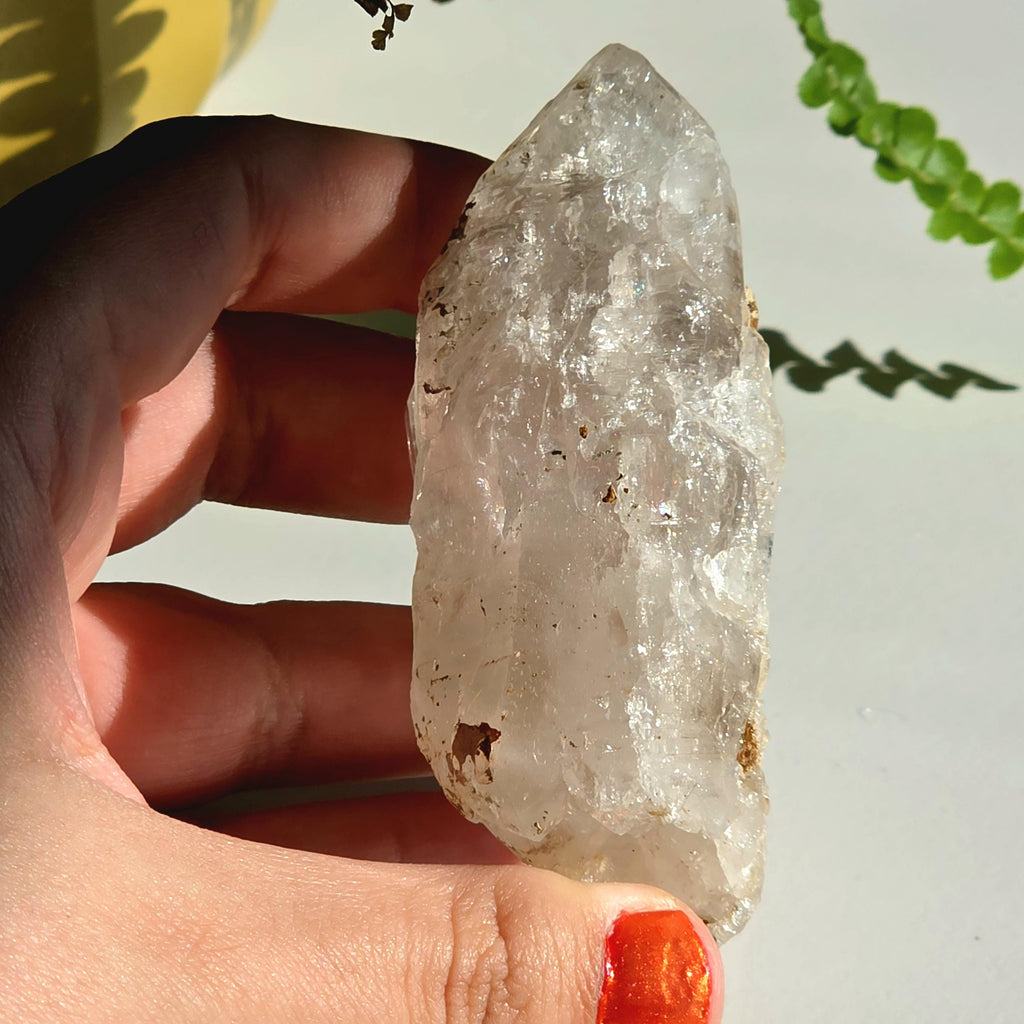 Alpine Quartz Crystal Point | Swiss Alps Clear Quartz with Matrix | Natural Collector Mineral Specimen