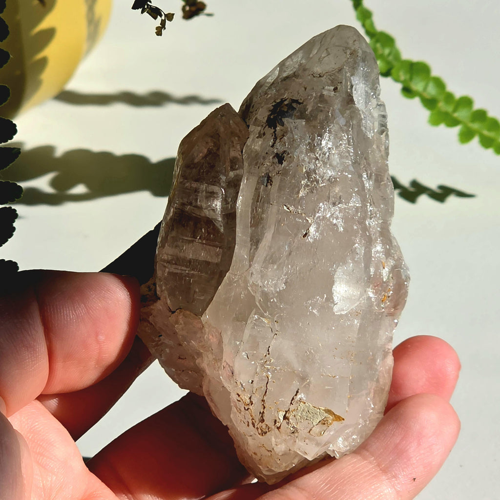 Alpine Quartz Crystal Point | Swiss Alps Clear Quartz with Matrix | Natural Collector Mineral Specimen