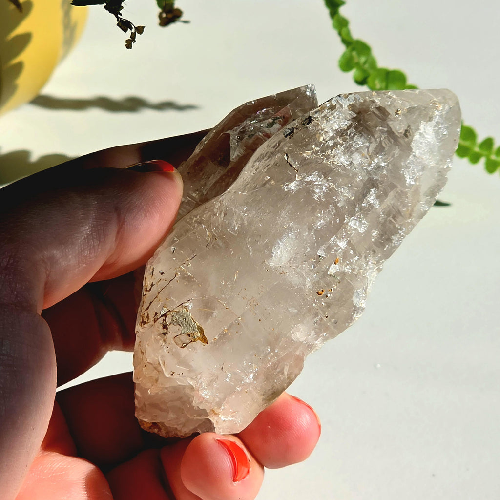 Alpine Quartz Crystal Point | Swiss Alps Clear Quartz with Matrix | Natural Collector Mineral Specimen