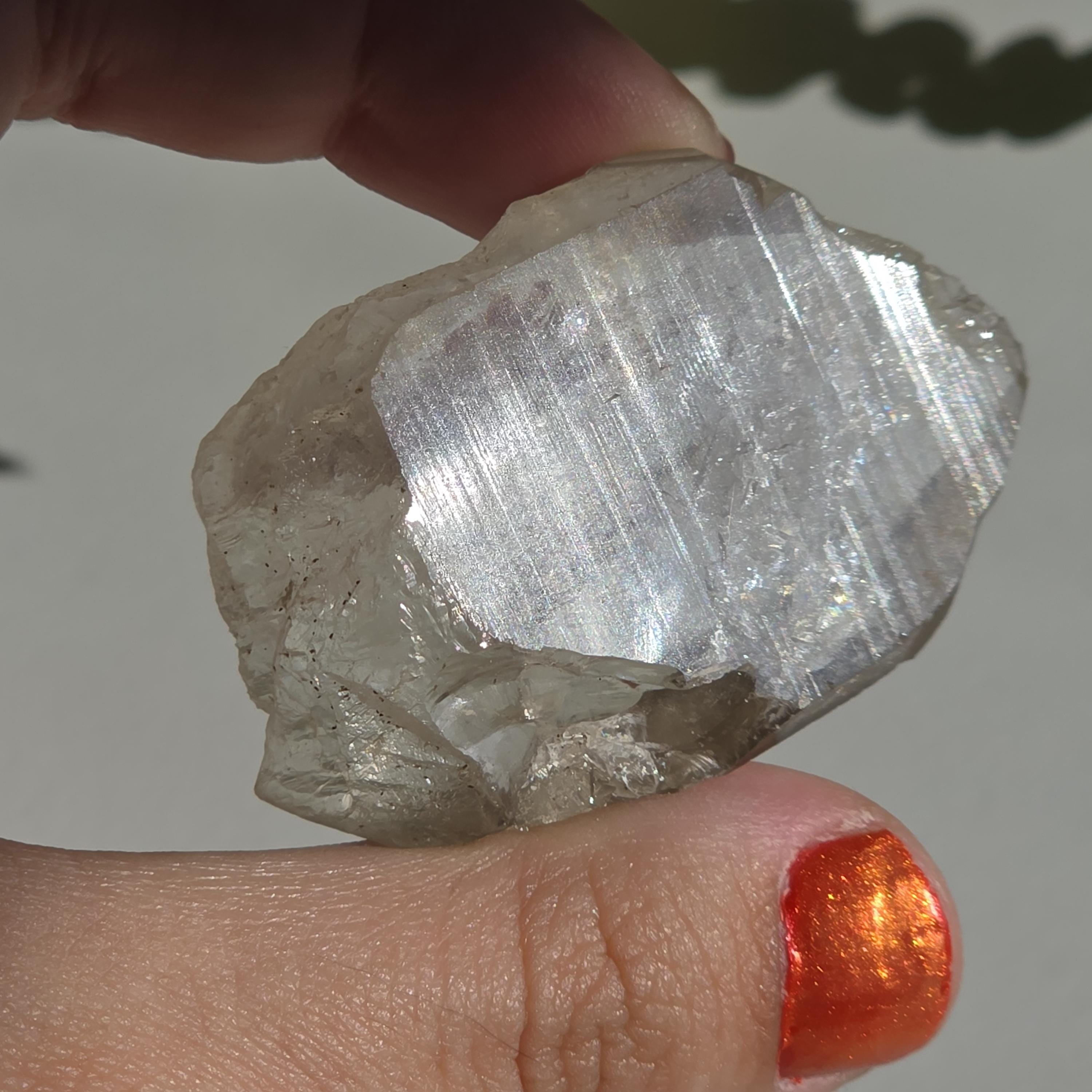 Alpine Quartz Crystal Point | Swiss Alps Clear Quartz with Matrix | Natural Collector Mineral Specimen
