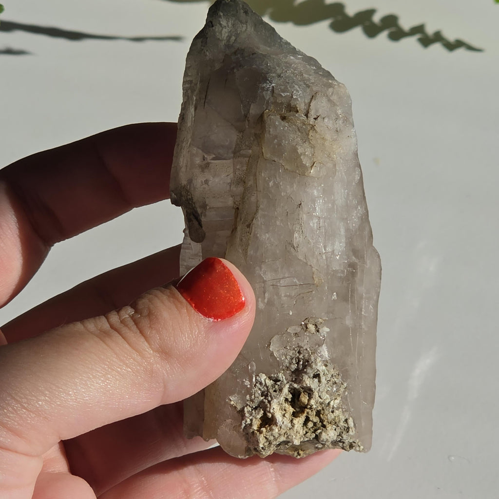 Alpine Quartz Crystal Point | Swiss Alps Clear Quartz with Matrix | Natural Collector Mineral Specimen
