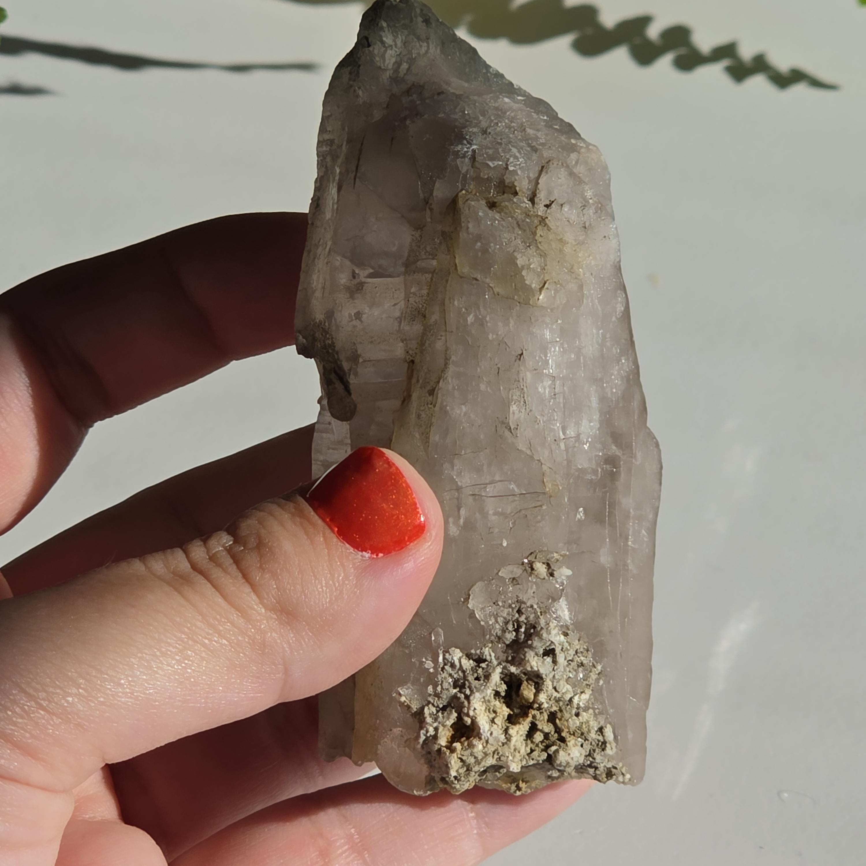 Alpine Quartz Crystal Point | Swiss Alps Clear Quartz with Matrix | Natural Collector Mineral Specimen