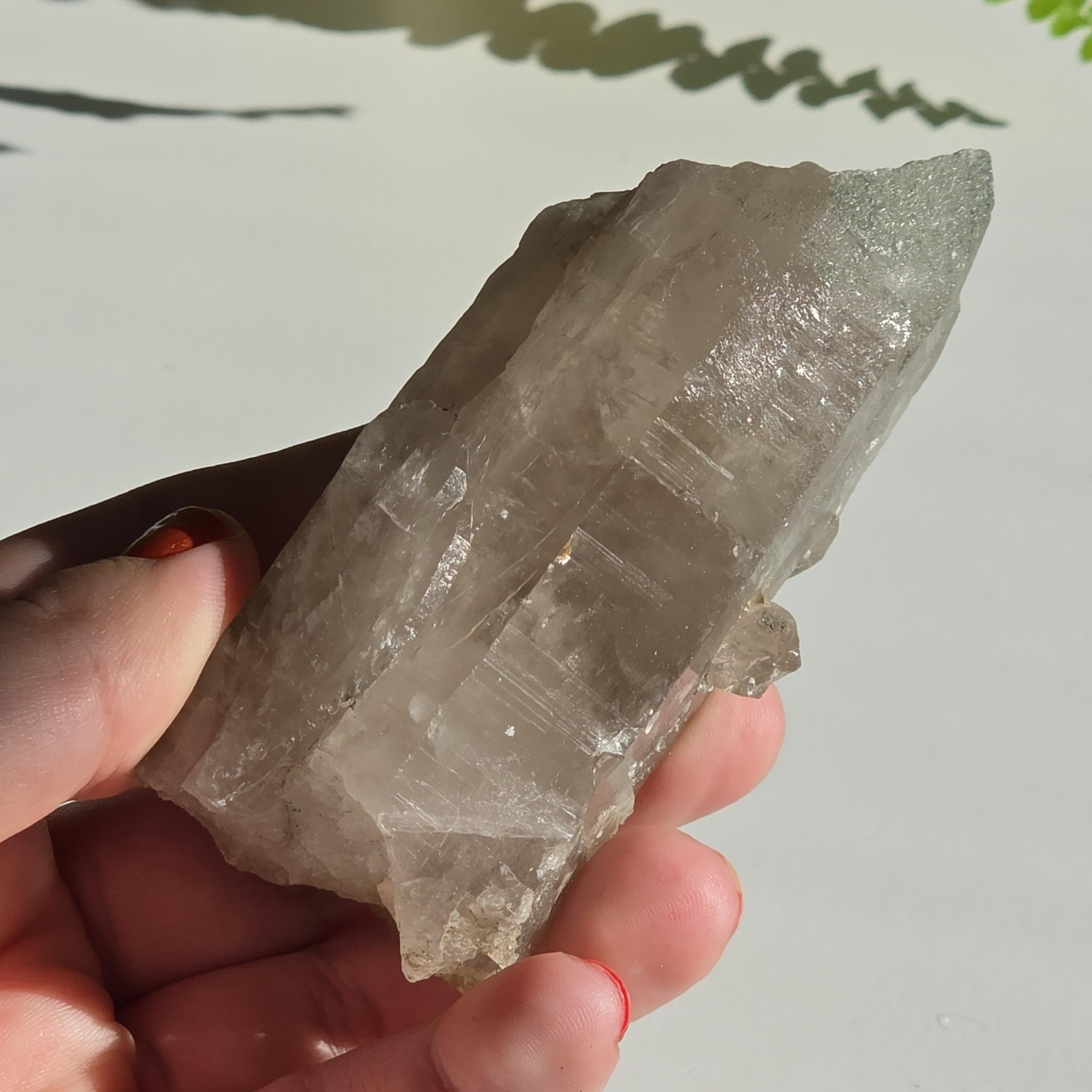 Alpine Quartz Crystal Point | Swiss Alps Clear Quartz with Matrix | Natural Collector Mineral Specimen