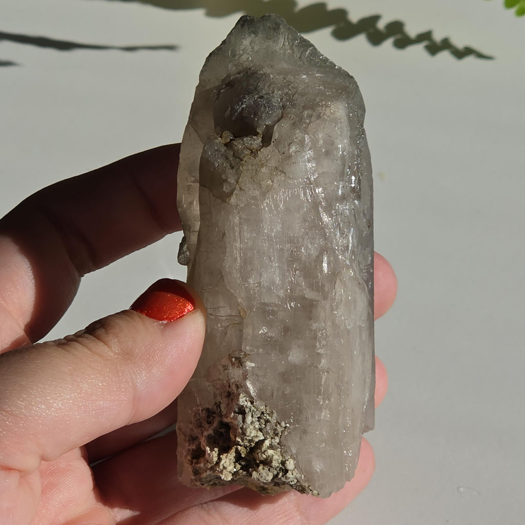 Alpine Quartz Crystal Point | Swiss Alps Clear Quartz with Matrix | Natural Collector Mineral Specimen