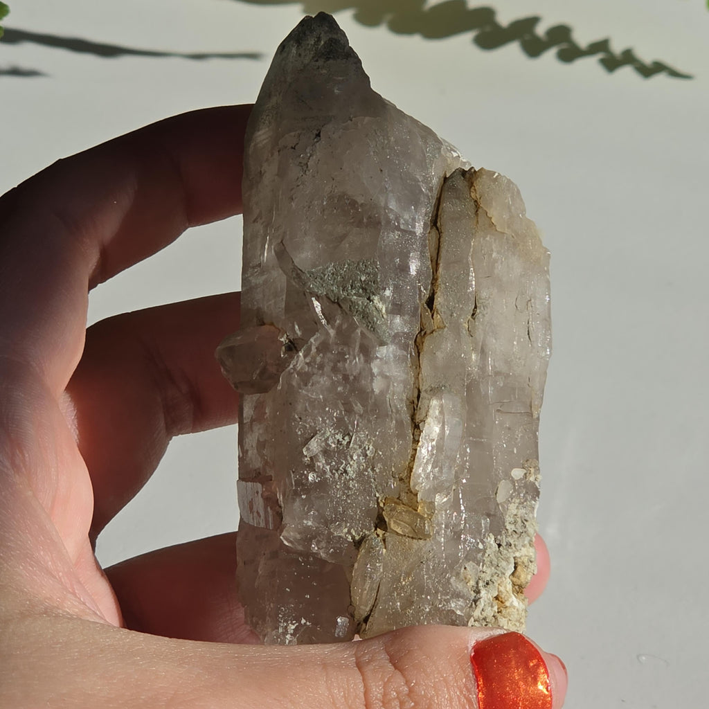 Alpine Quartz Crystal Point | Swiss Alps Clear Quartz with Matrix | Natural Collector Mineral Specimen