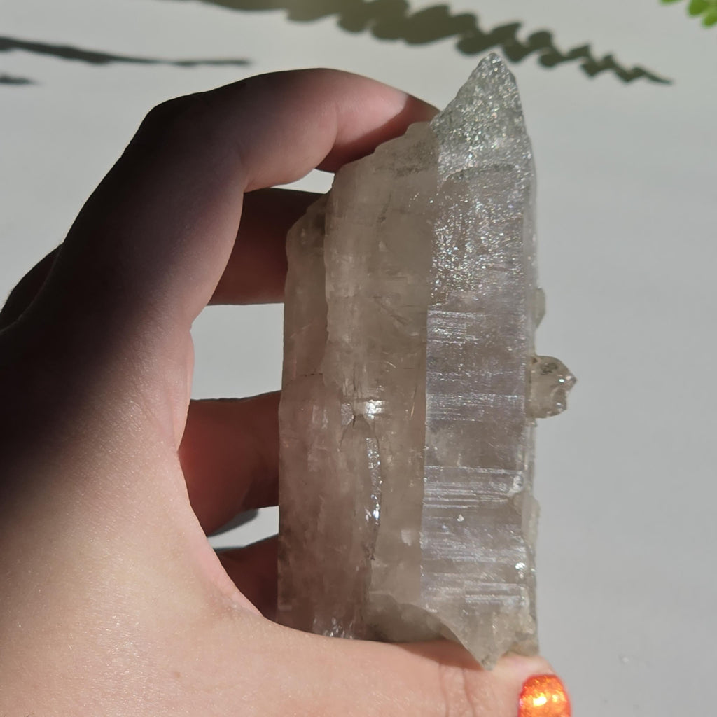 Alpine Quartz Crystal Point | Swiss Alps Clear Quartz with Matrix | Natural Collector Mineral Specimen