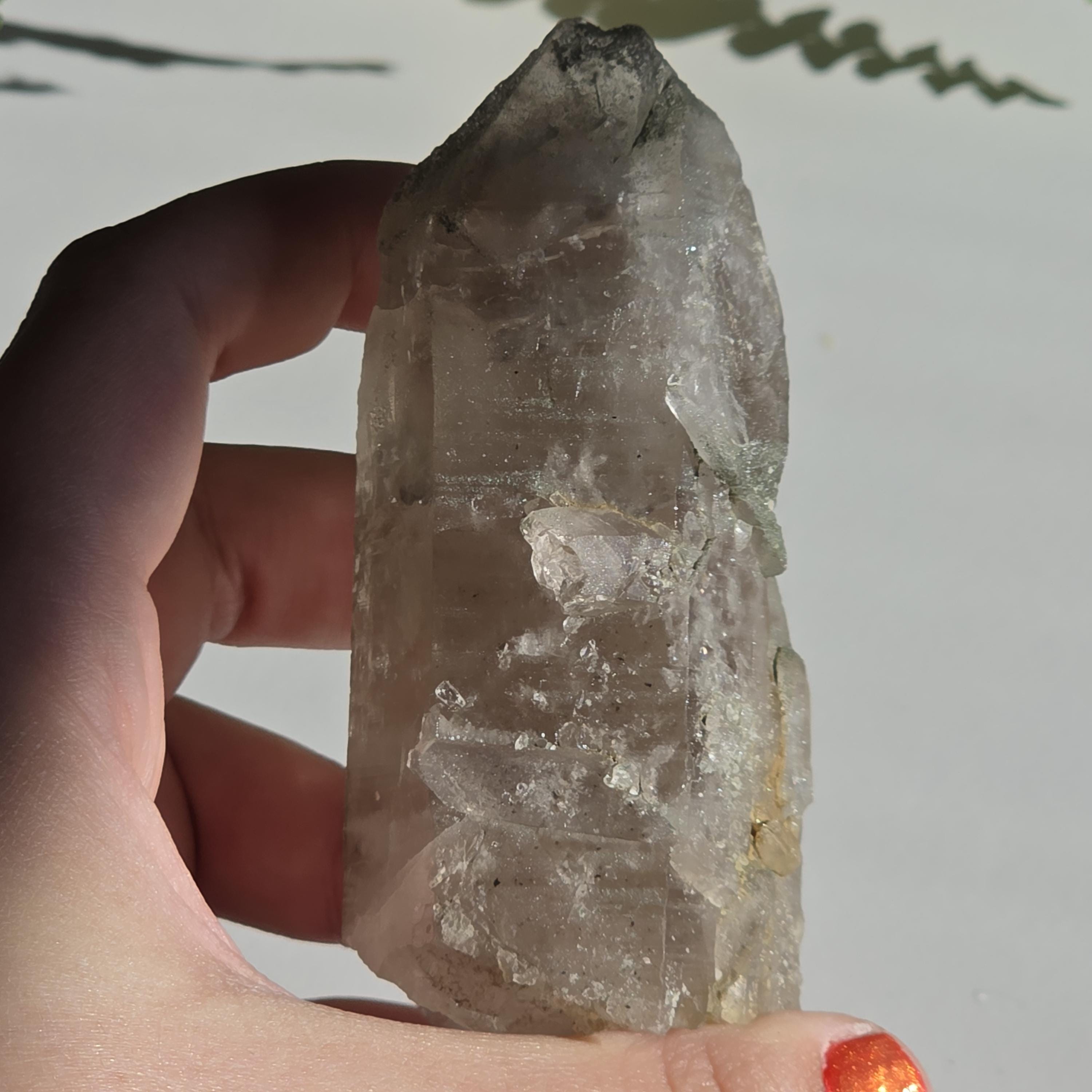 Alpine Quartz Crystal Point | Swiss Alps Clear Quartz with Matrix | Natural Collector Mineral Specimen