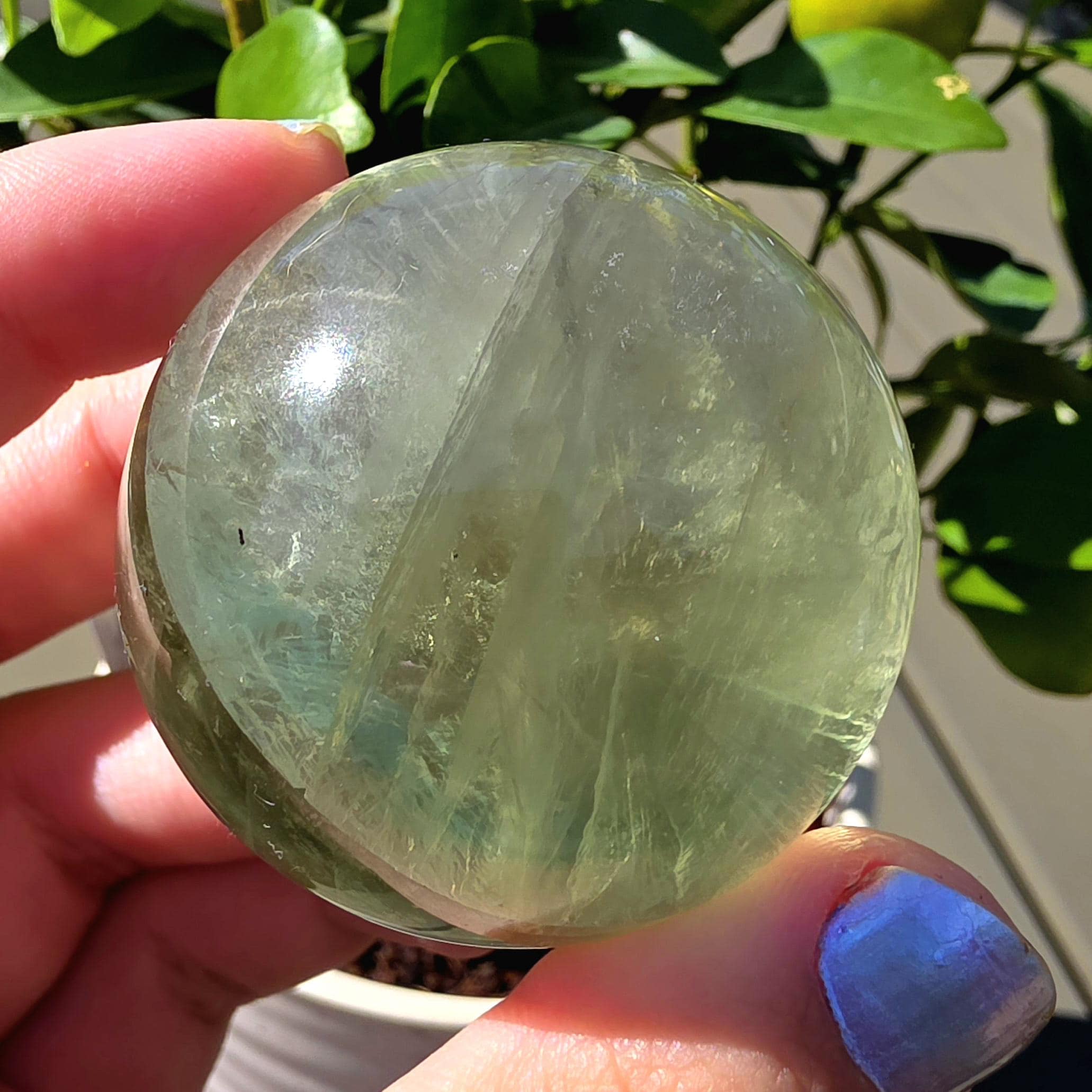 Green Apple Fluorite Sphere | Polished Fluorite Crystal Sphere | Mint Green Fluorite | Collector Crystal