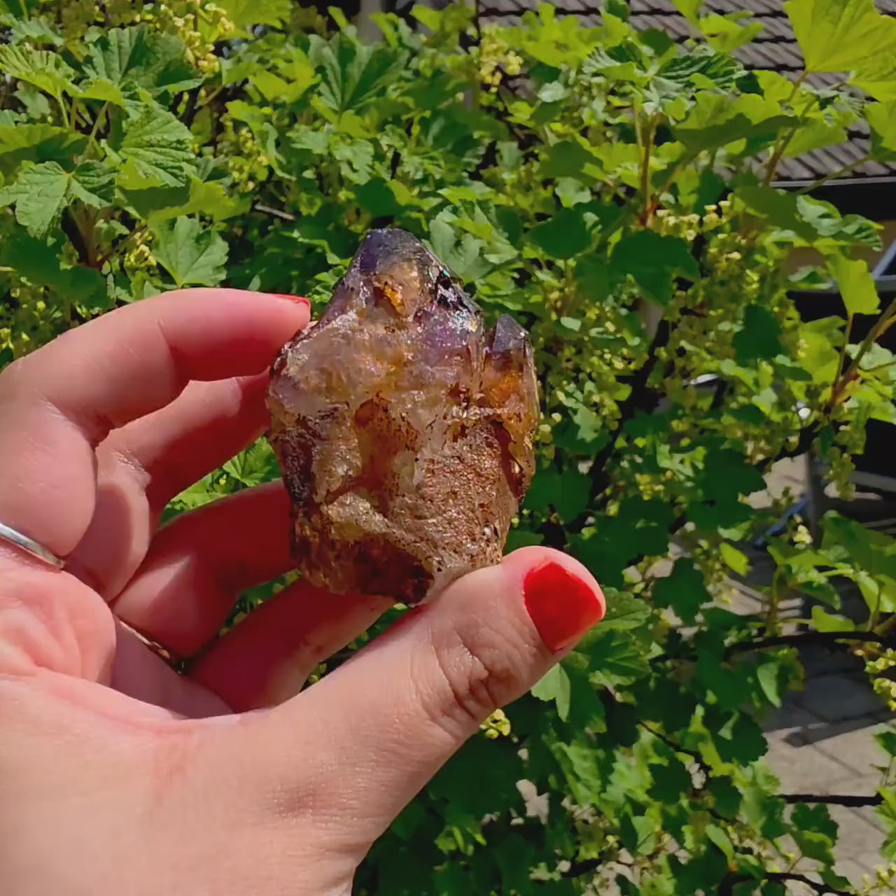 Natural Bolivian Ametrine Specimen | Raw Purple Gold Crystal | Collector Mineral Display Decor