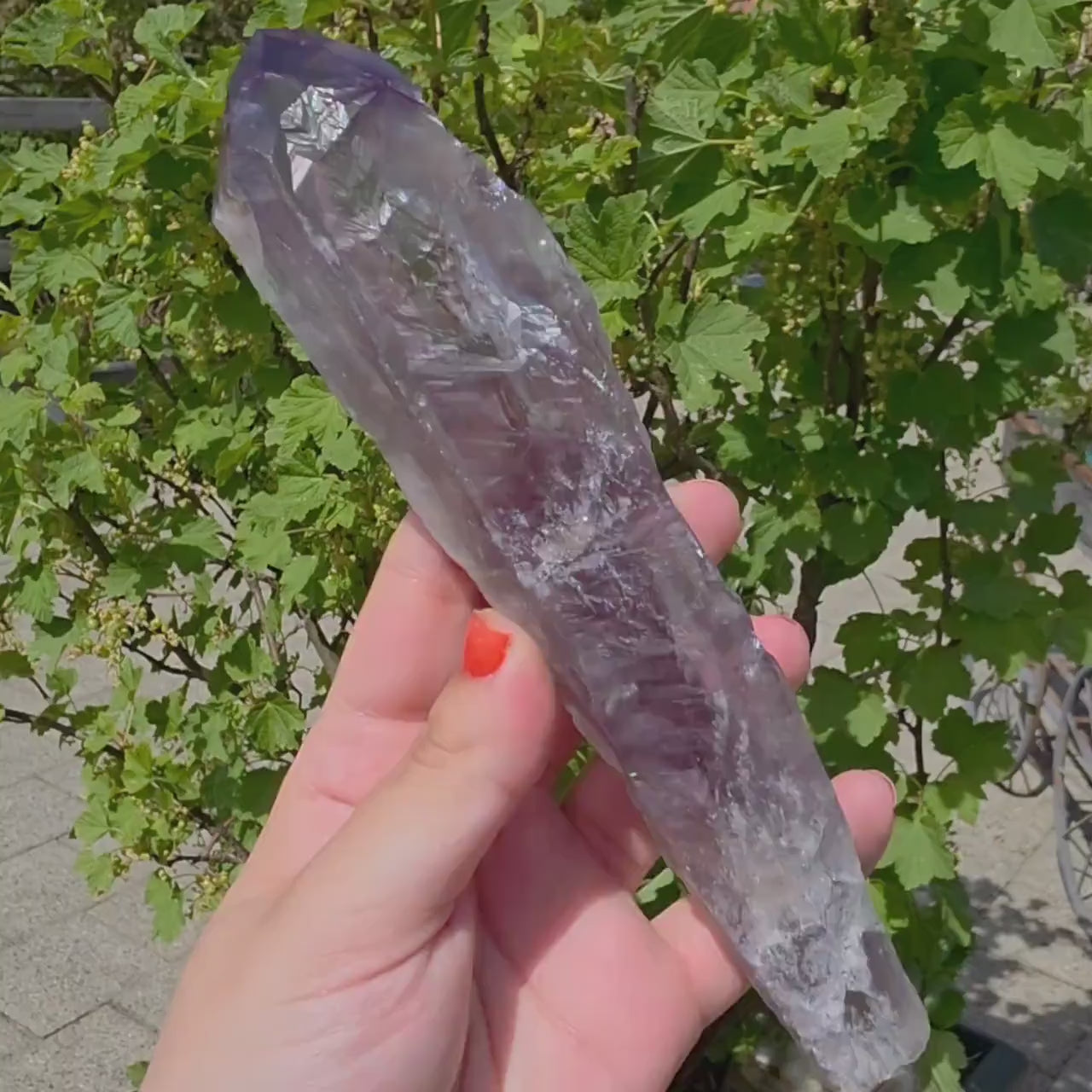 Bahia Amethyst Root Dragon Tooth | Raw Amethyst Point | Purple Quartz Crystal Specimen