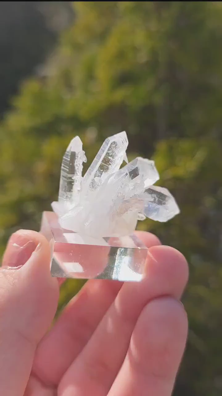 Brazilian Clear Quartz Cluster on Stand | Natural Quartz Crystal Specimen | Collector Display Mineral Decor