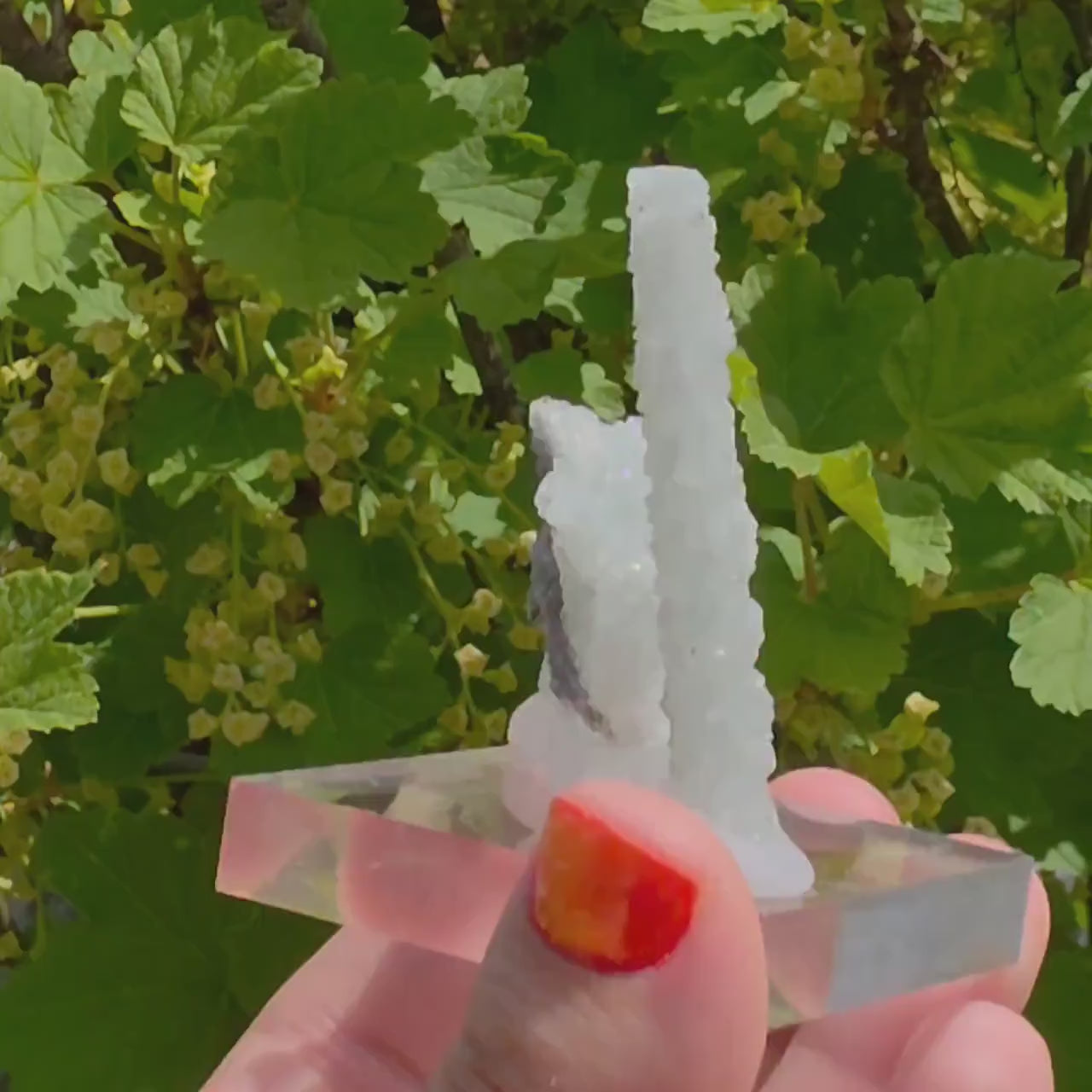 Stalactitic Apophyllite Cluster | Druzy Apophyllite Formation | Rare Columnar Apophyllite Specimen | Sparkling Mineral Decor