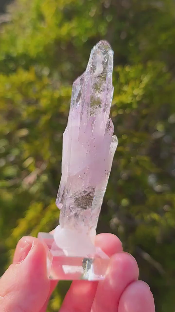 Vera Cruz Amethyst Cluster | Los Vigas Mine Mexico | Elongated Quartz Crystal Specimen Decor