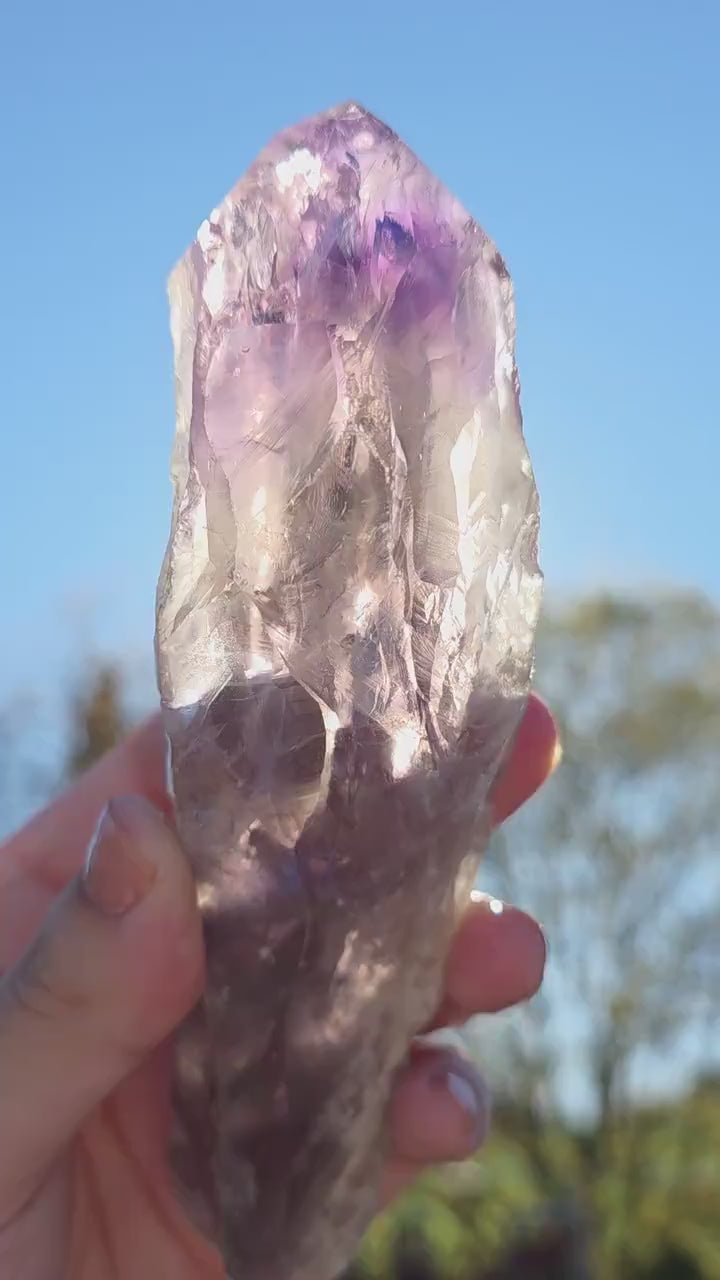 Bahia Amethyst Root Dragon Tooth | Raw Amethyst Point | Purple Quartz Crystal Specimen