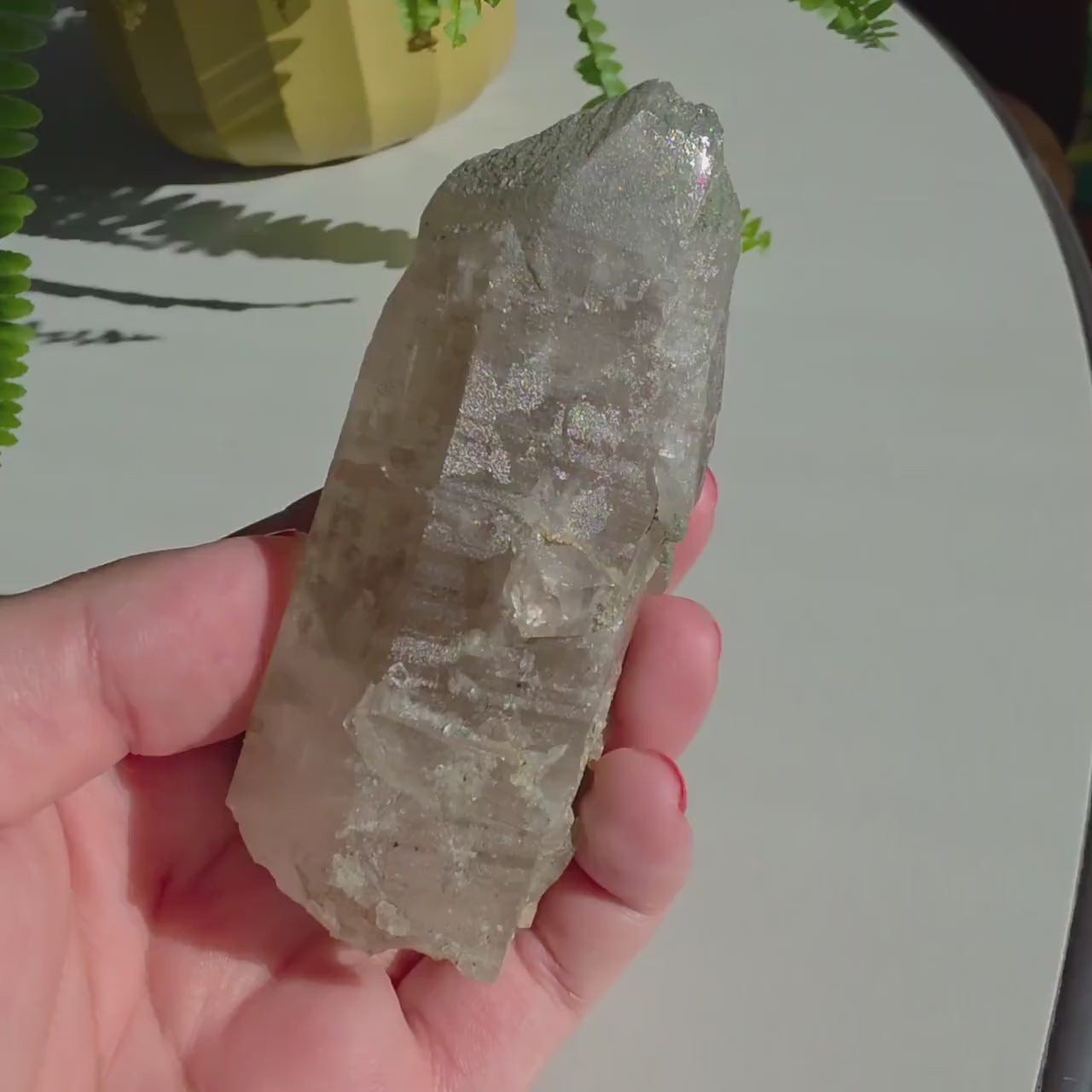 Alpine Quartz Crystal Point | Swiss Alps Clear Quartz with Matrix | Natural Collector Mineral Specimen